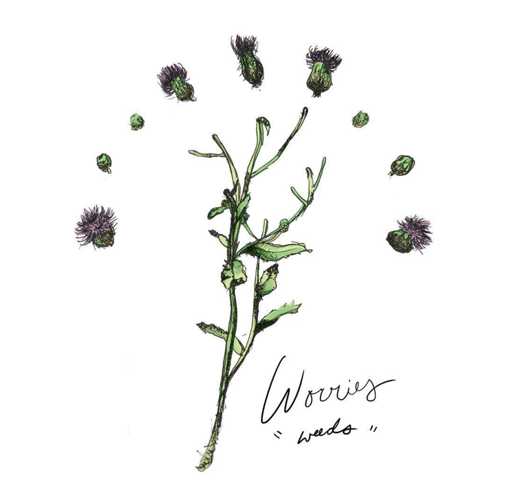 Worries On "Beginnings &amp; Songwriting"