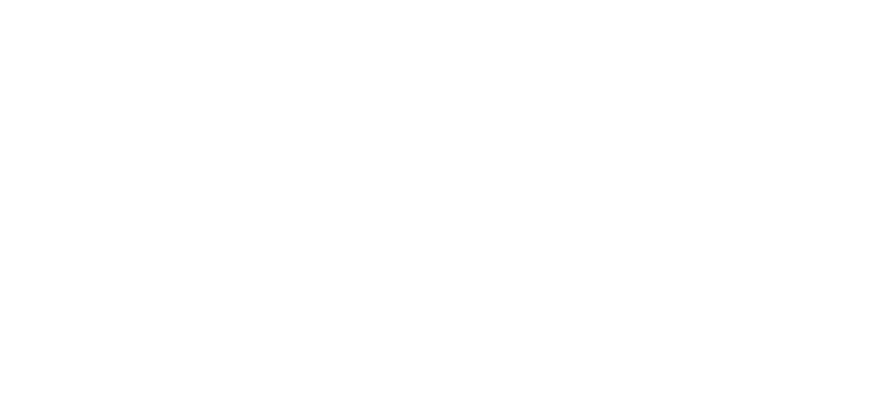 Hyundai Partnership