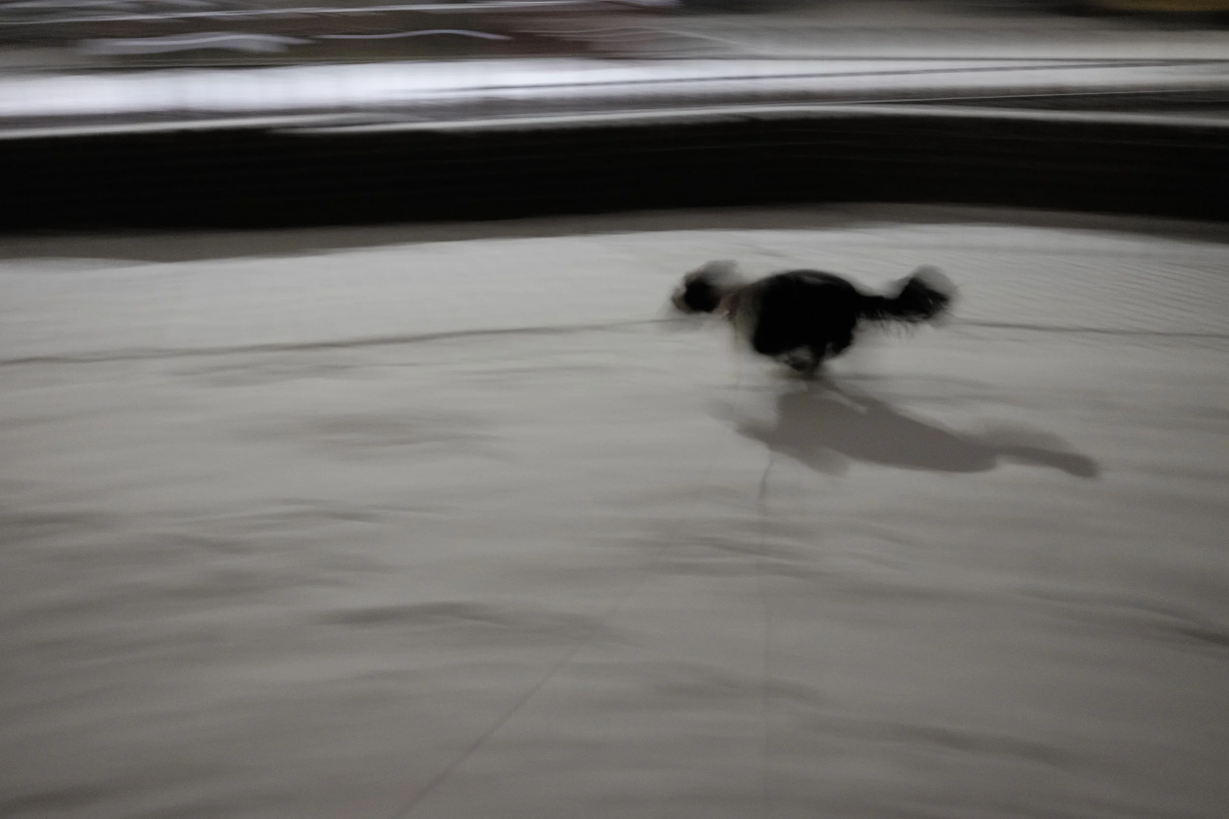 Documentary Photography: My Week in Pictures