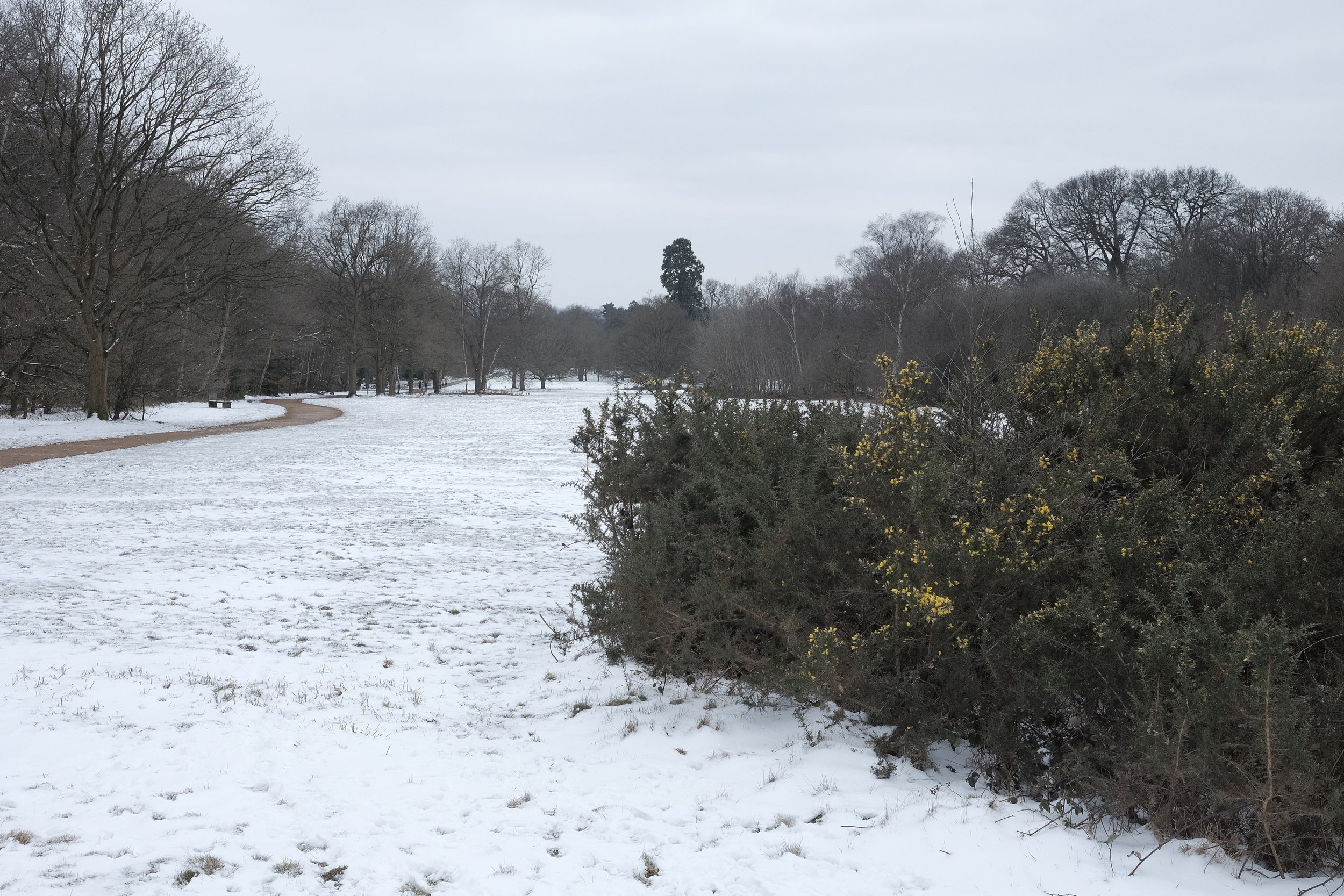 Never have I been so prolific as I am now!