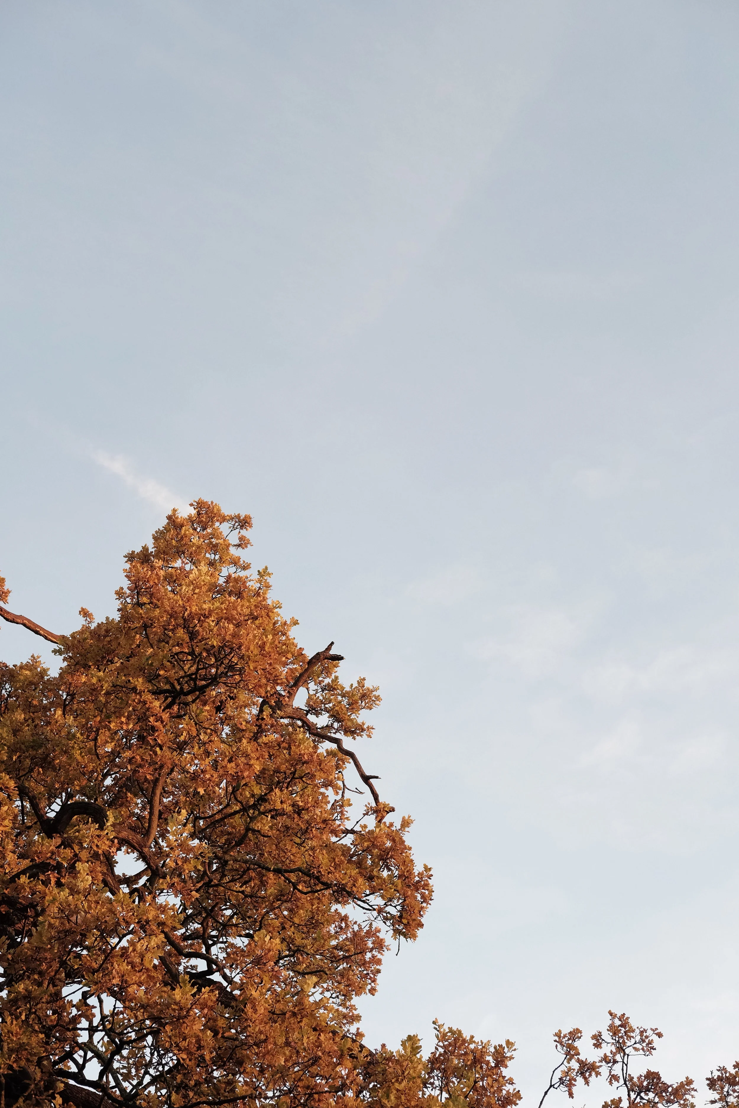 What is documentary Photography?