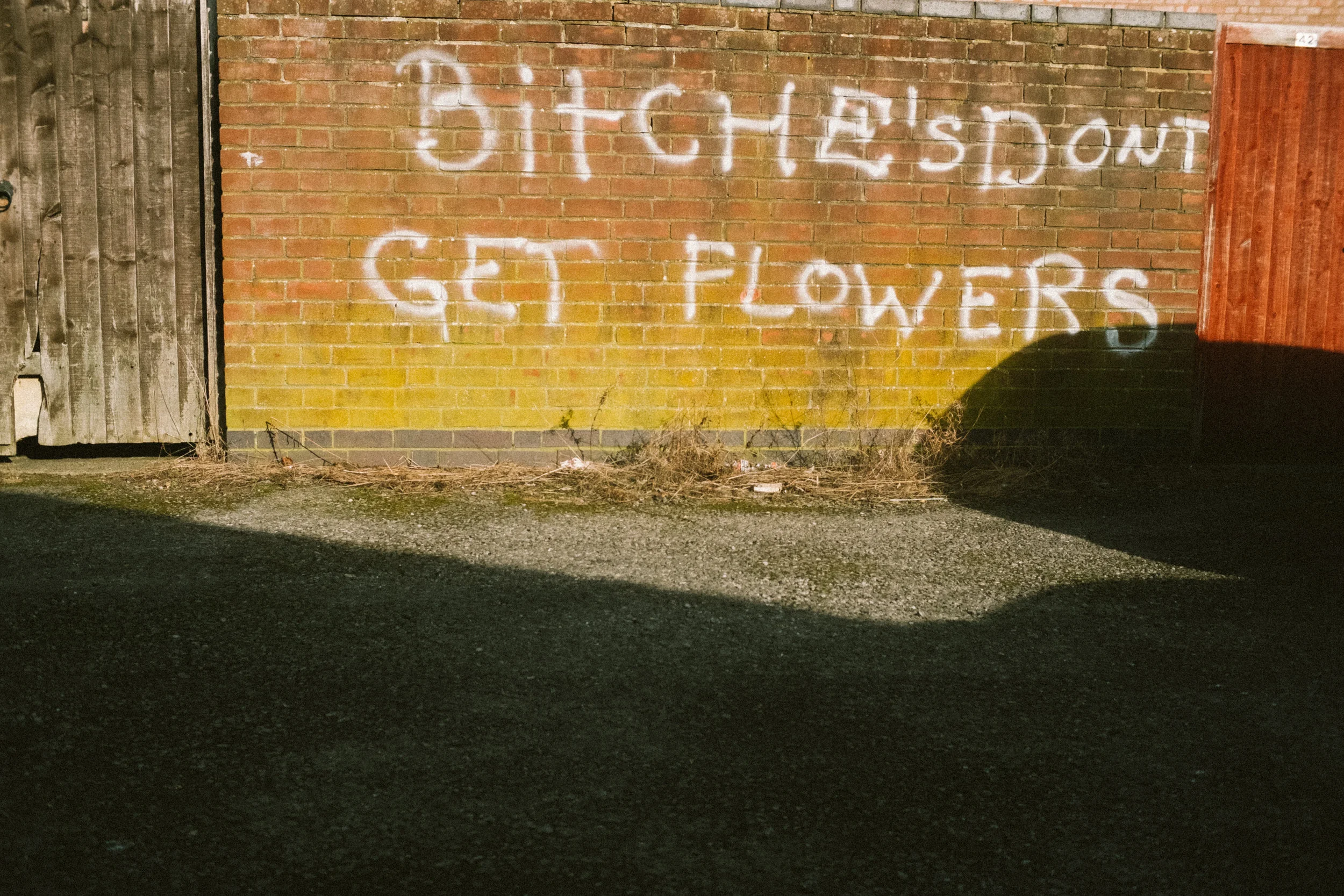 DSCF6314.jpg
