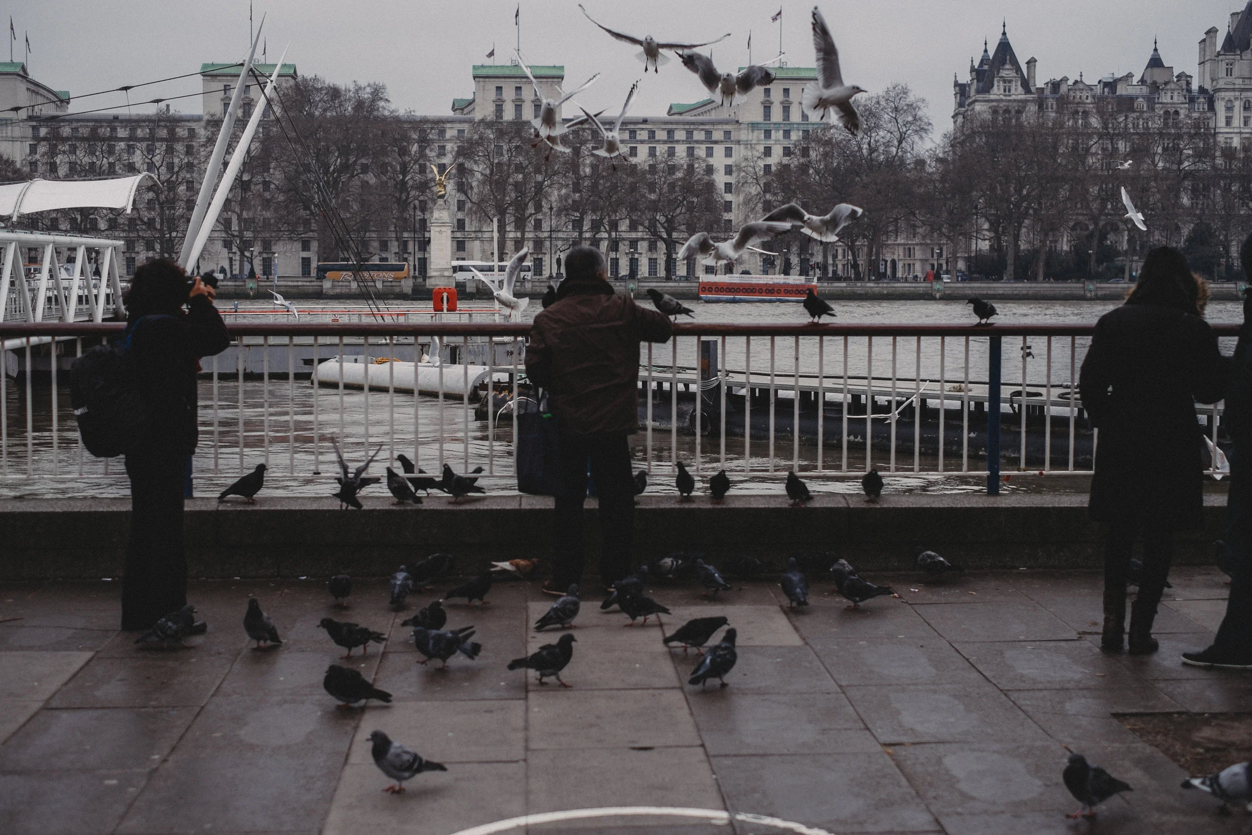 LondonStreet-21.1.15--6.jpg