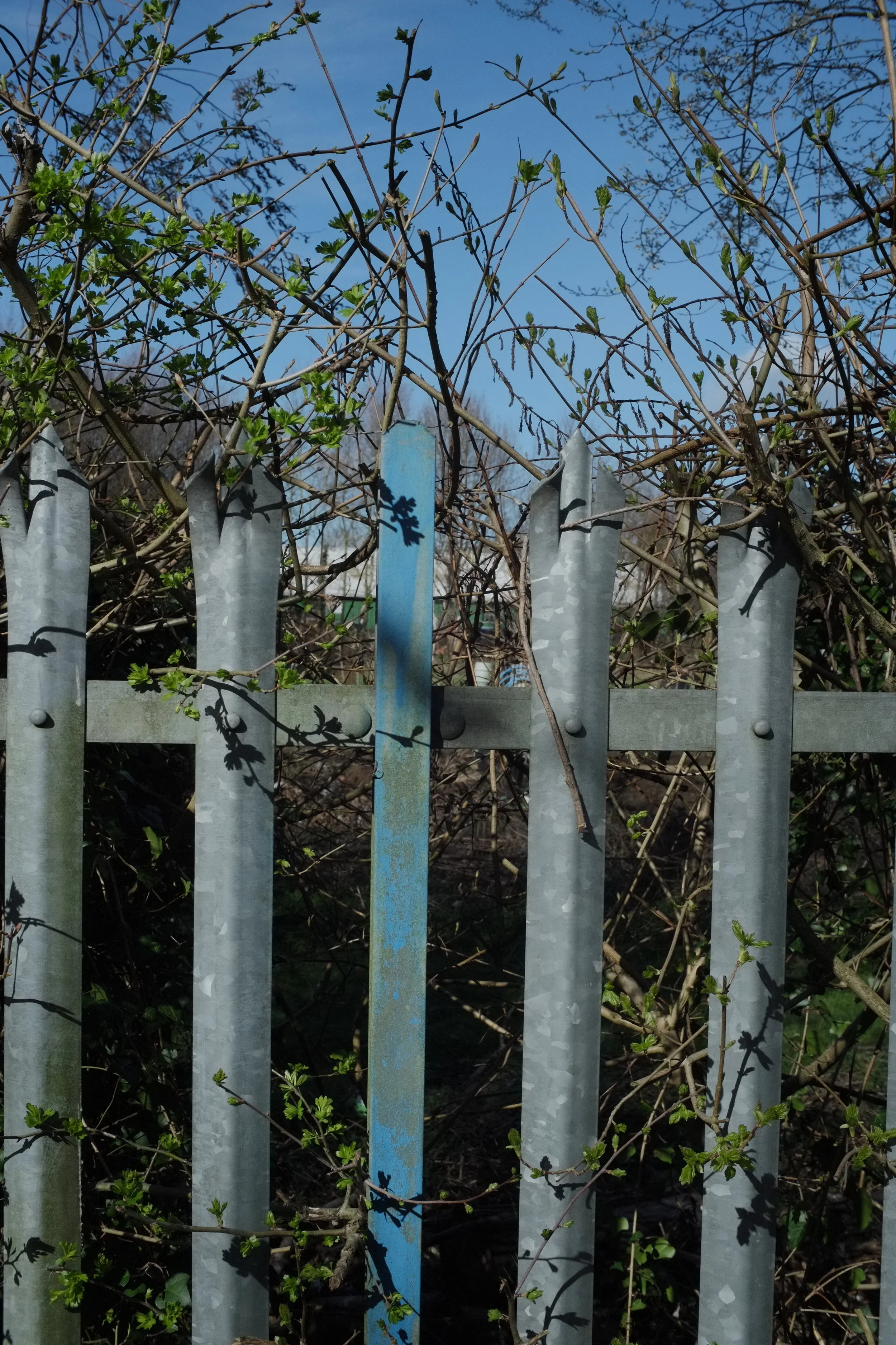 What is street photography?