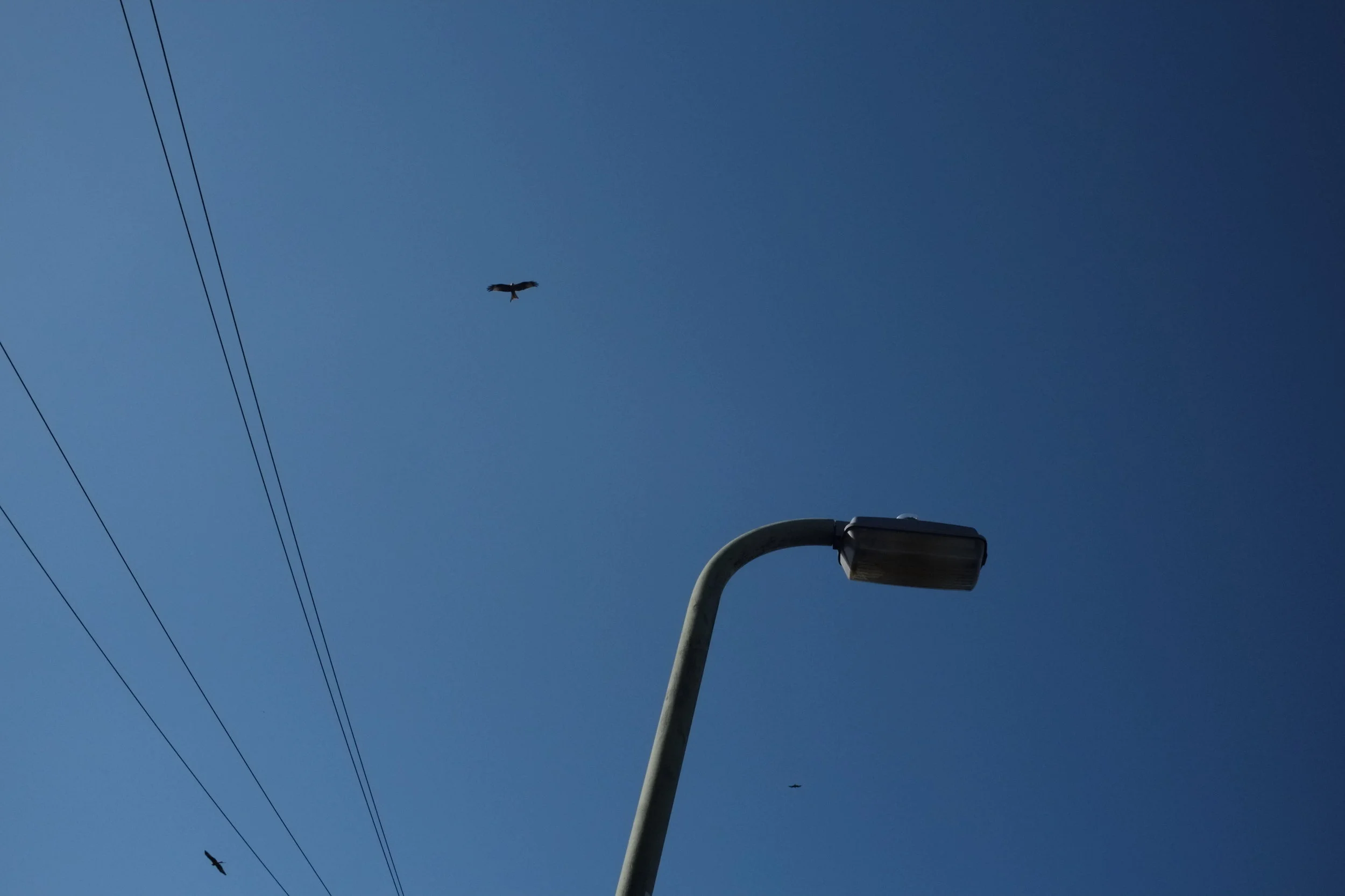 Why I deleted Instagram