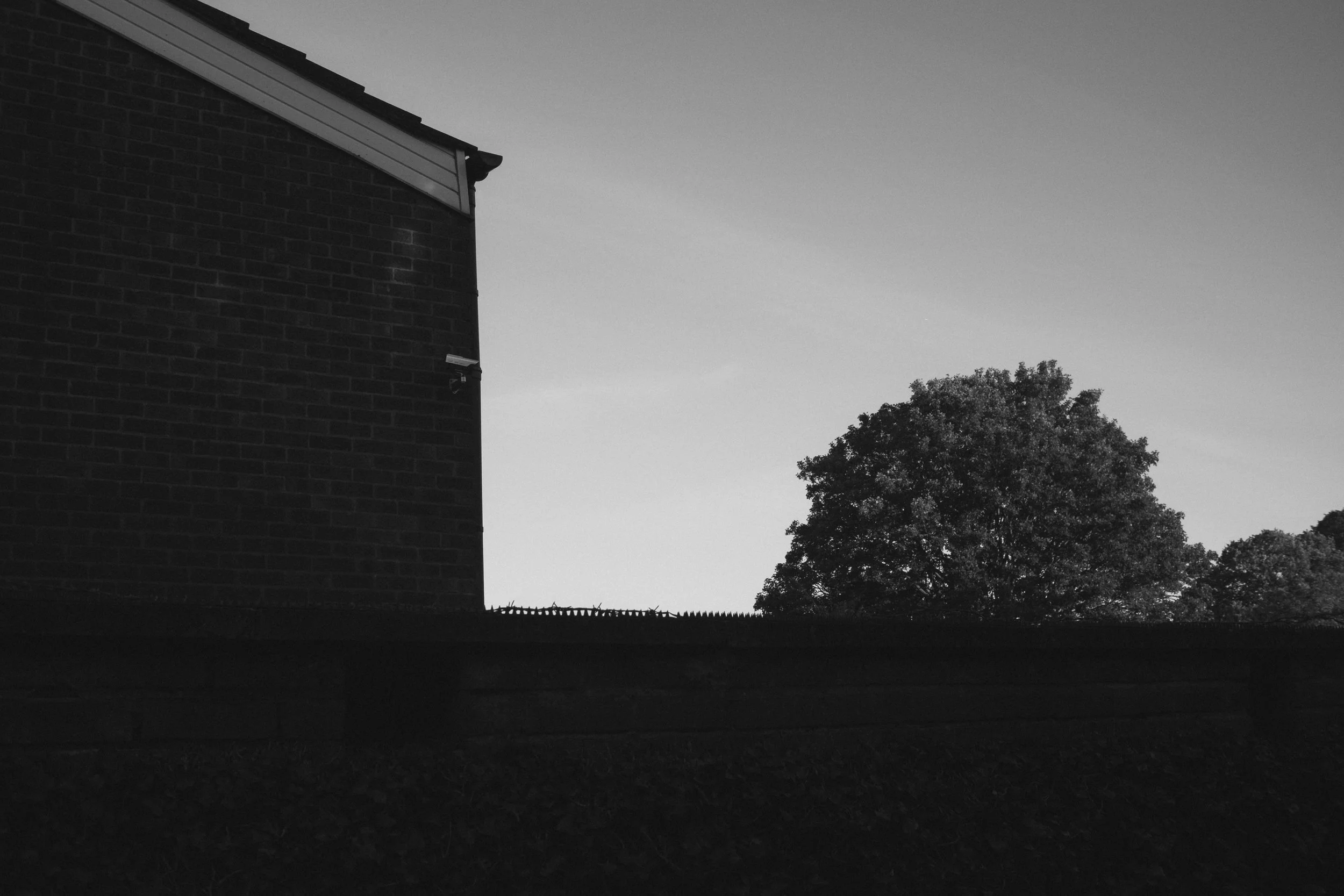 _DSF7804.jpg
