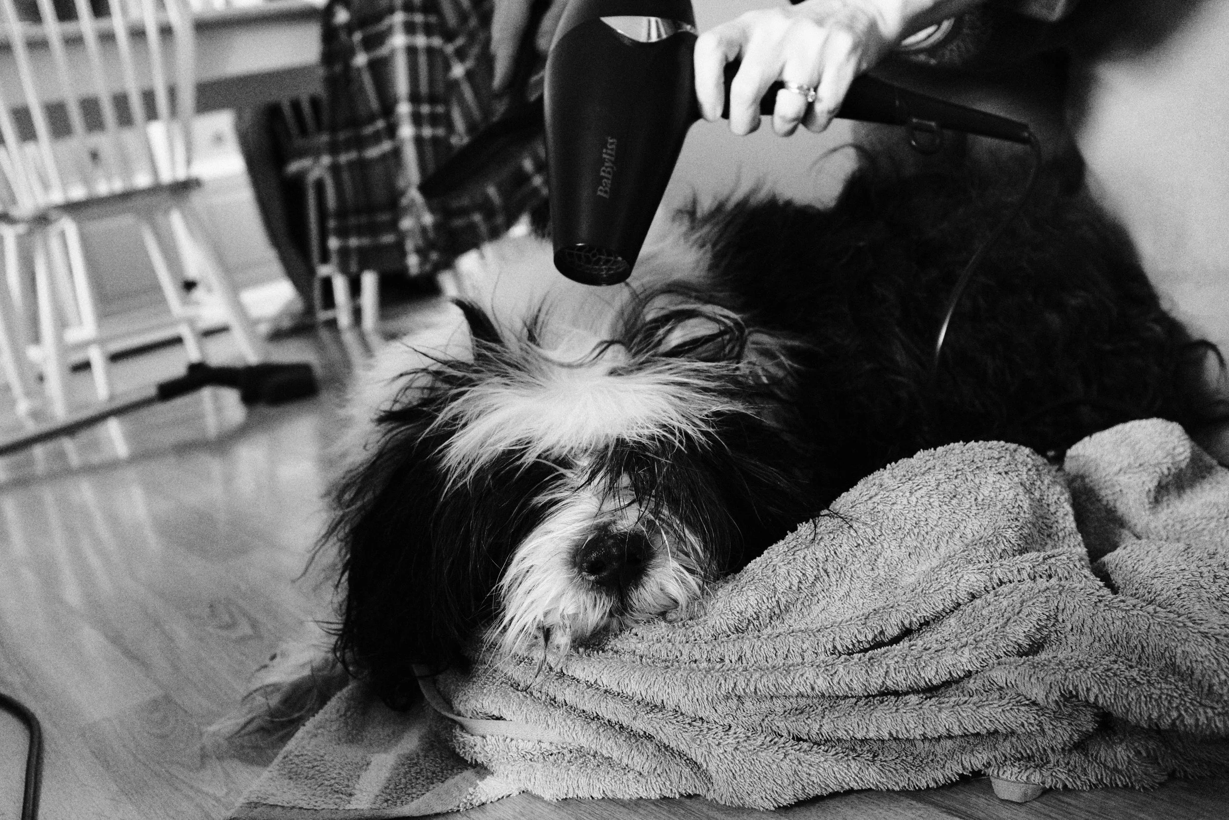 First "Actual" Blog post of 2024