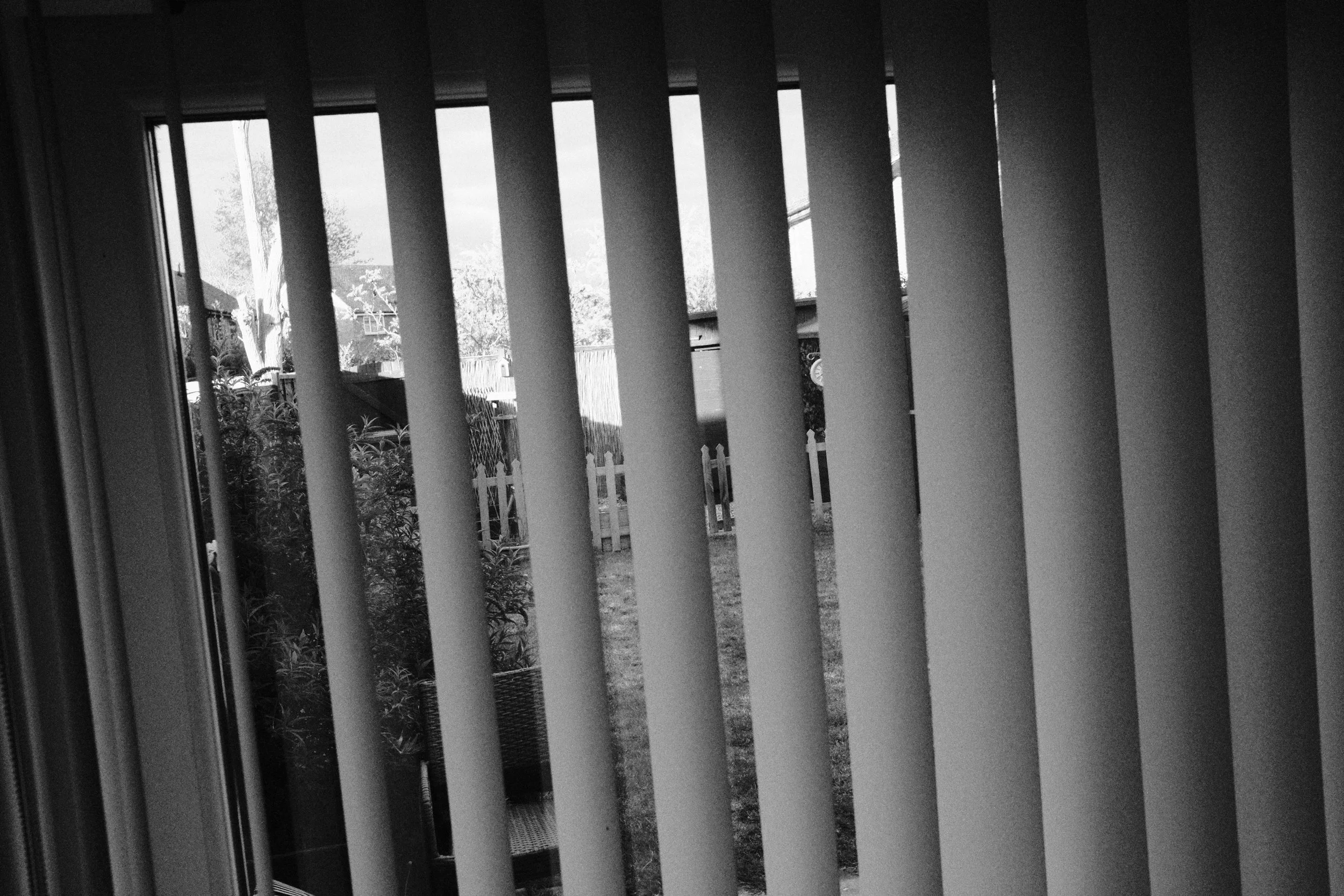 An unexpected encounter