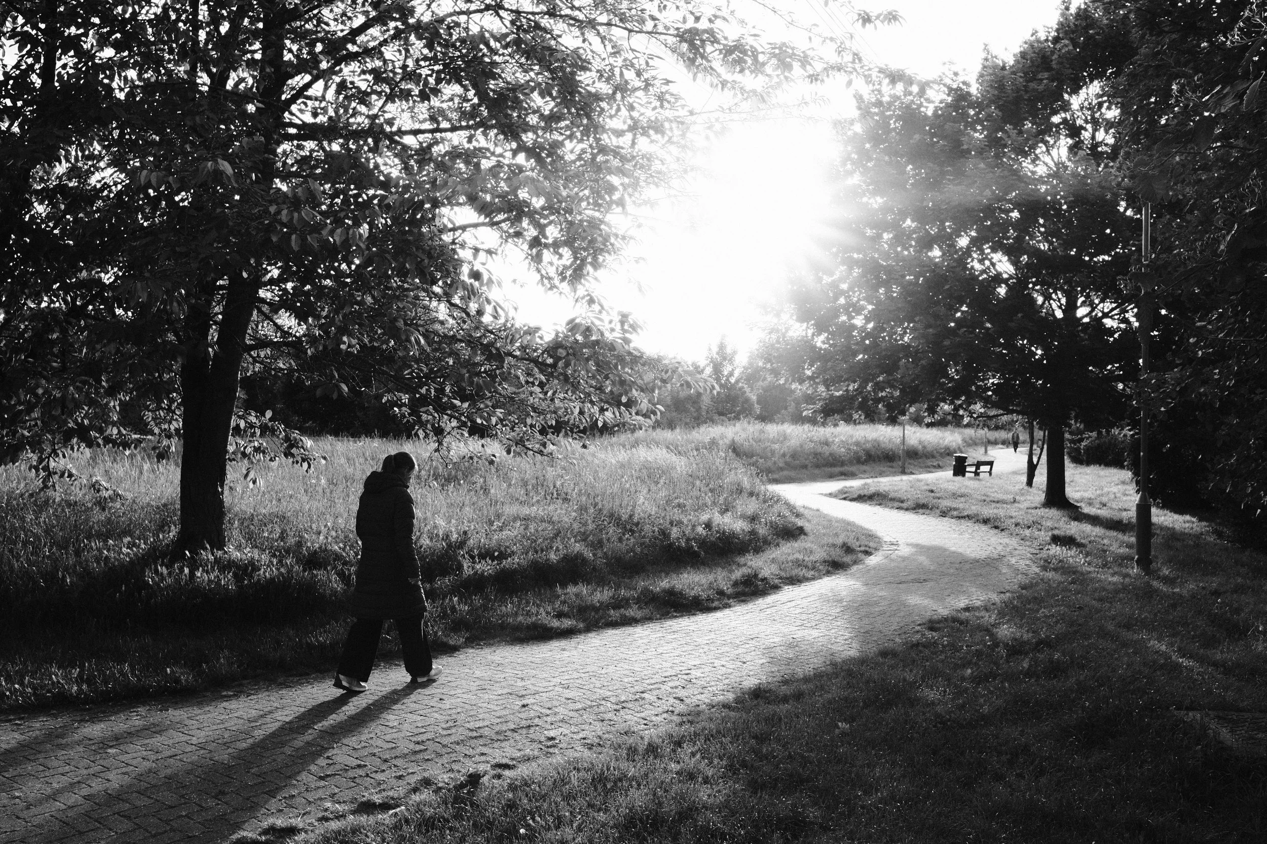 The never ending project