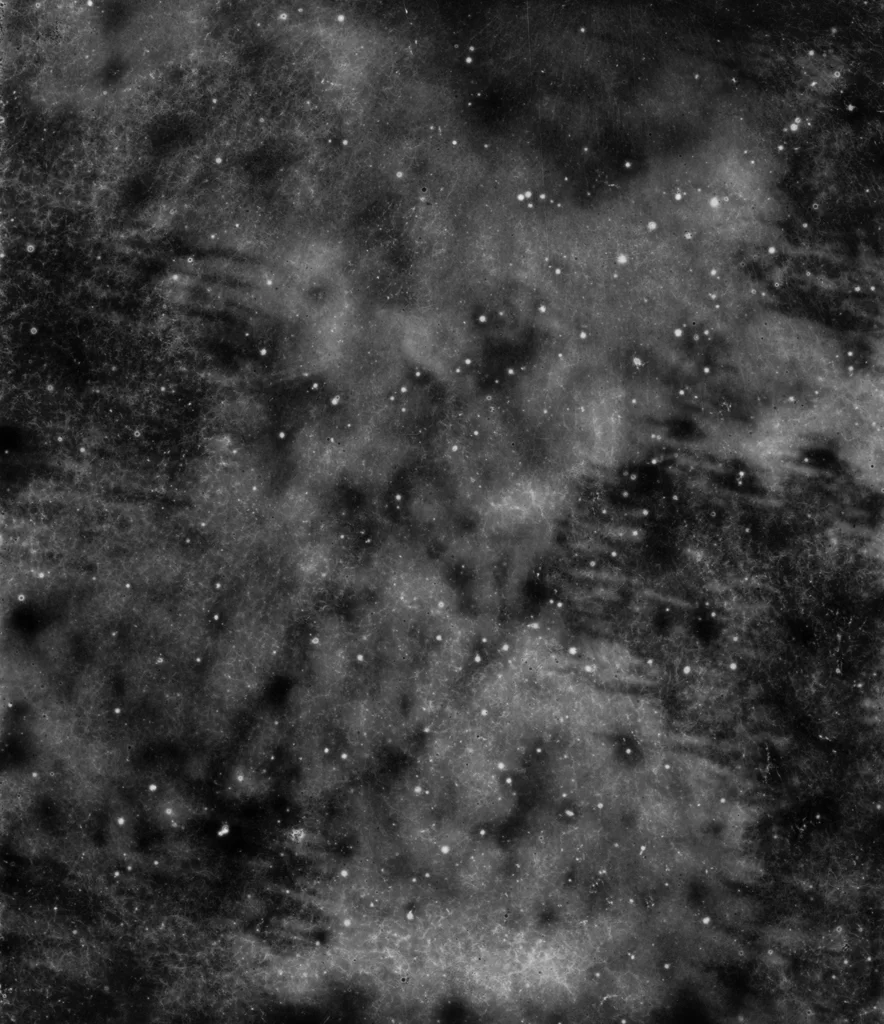 untitled/micro/cosmos