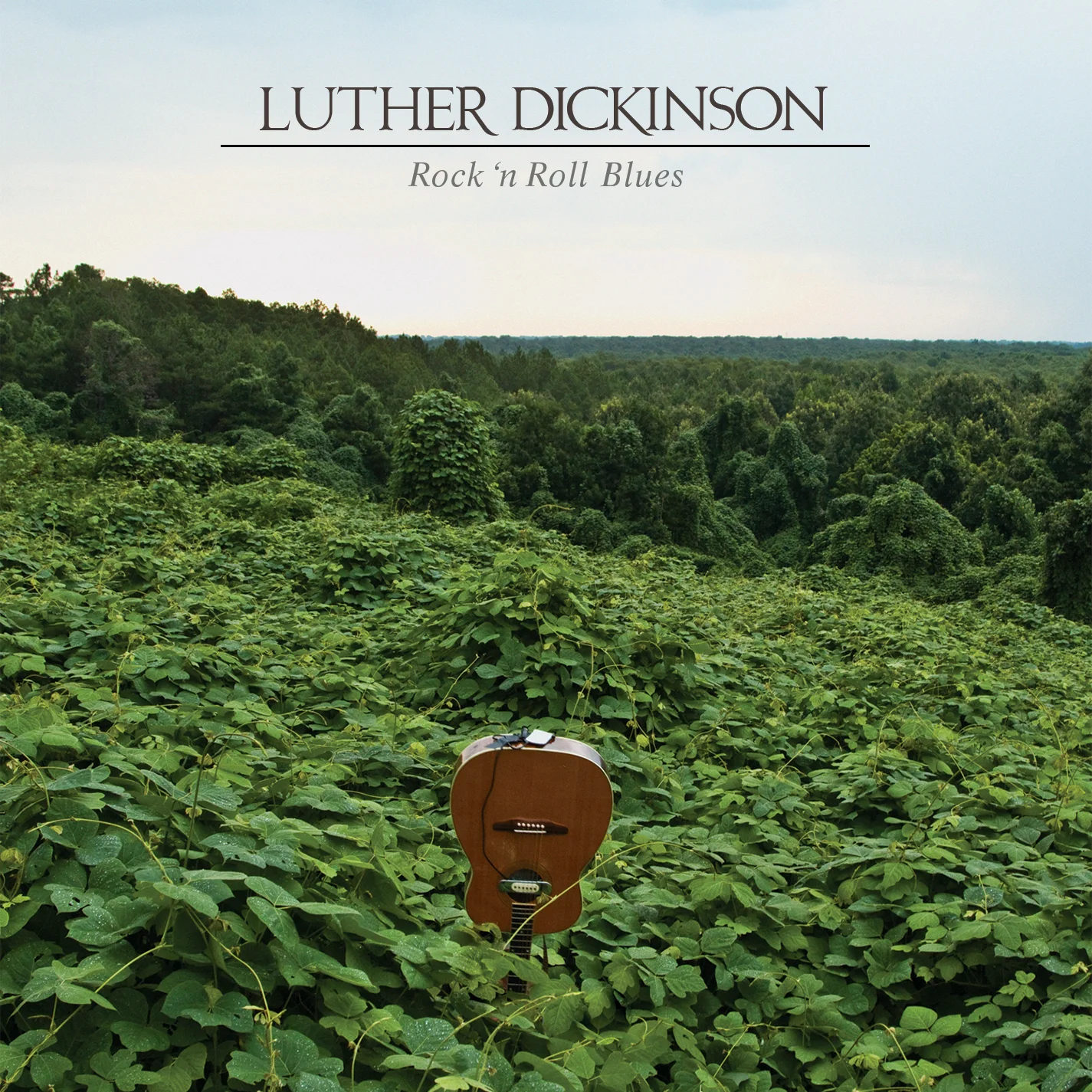 LutherDickinson-RnRBlues-ADA.jpg