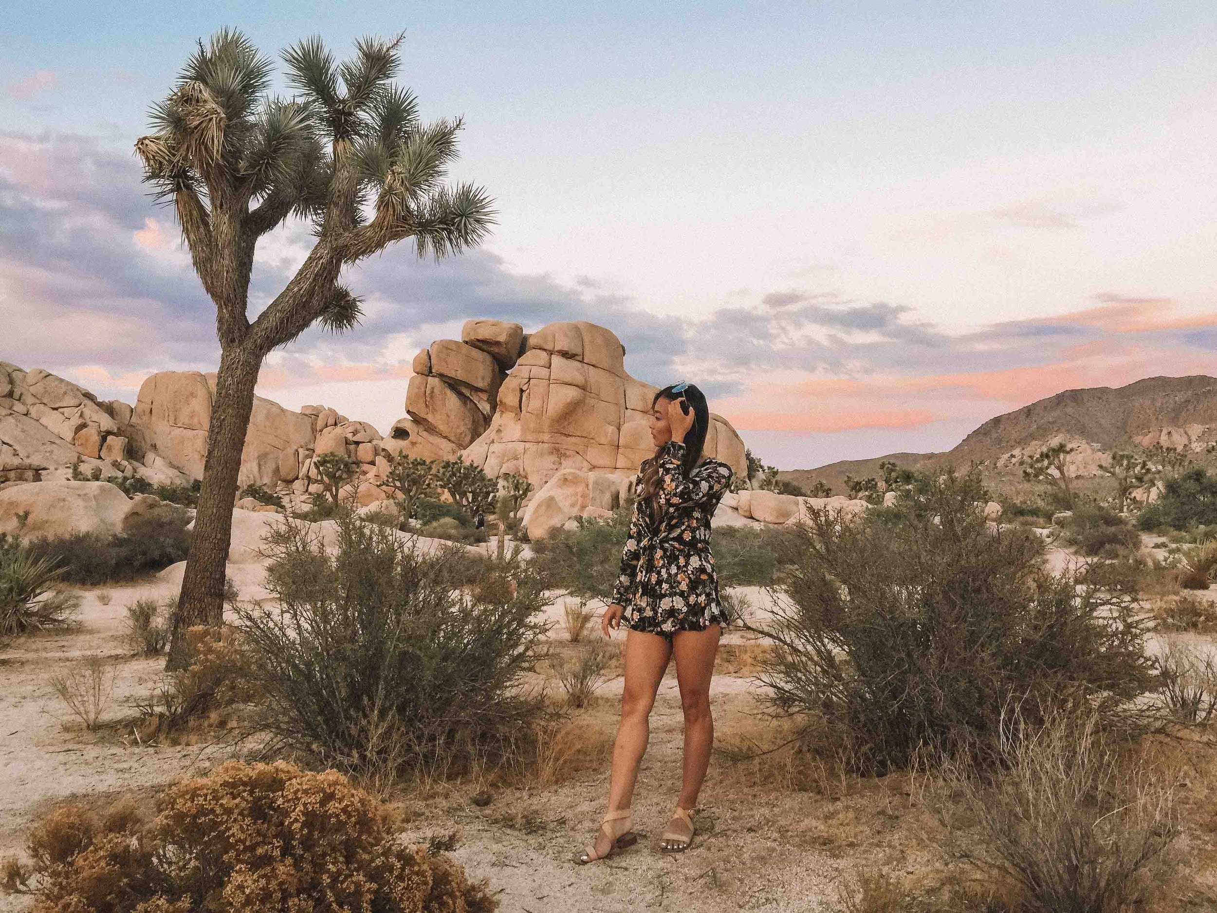 Joshua Tree National Park