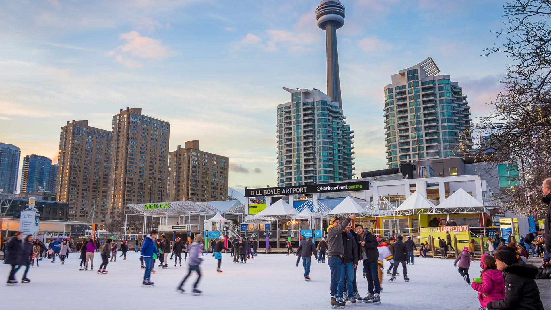 Skating at Harbourfront