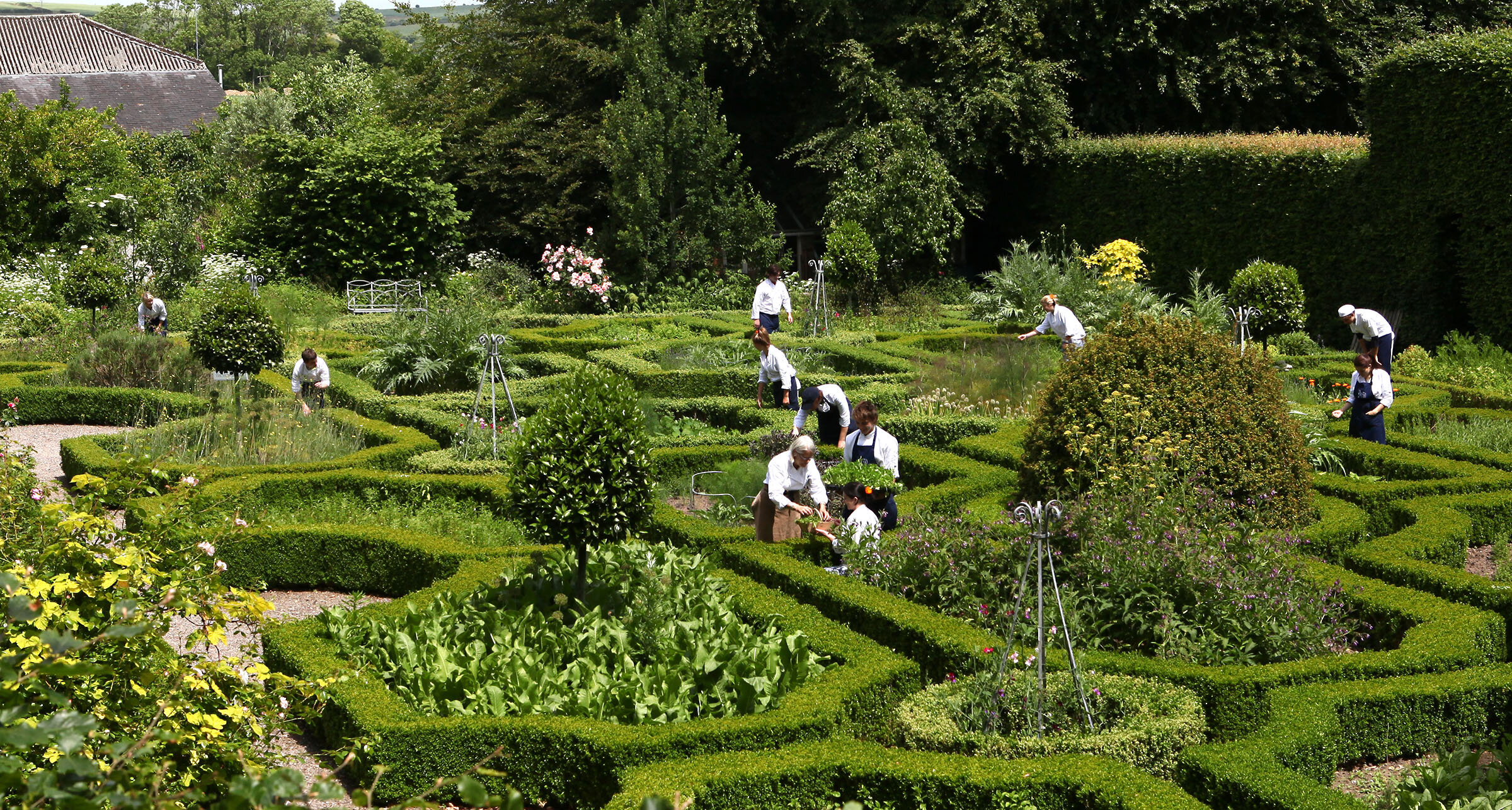 IMG_2139 In herb garden with Darina, Have Raw.jpg