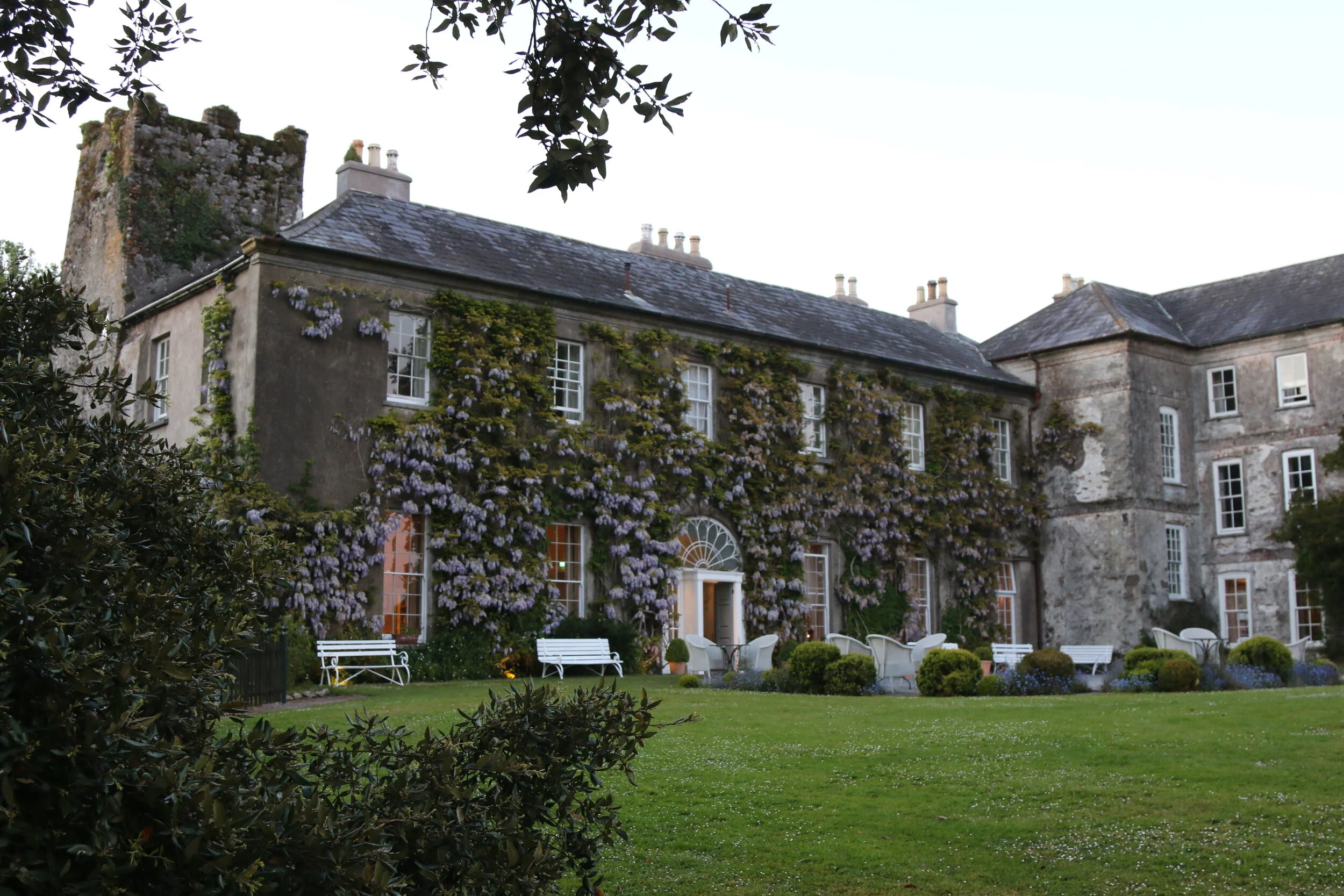 Wisteria Front May 2017 Daniel Callen.jpg