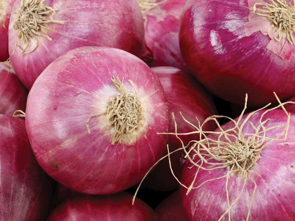 red-onions.jpg