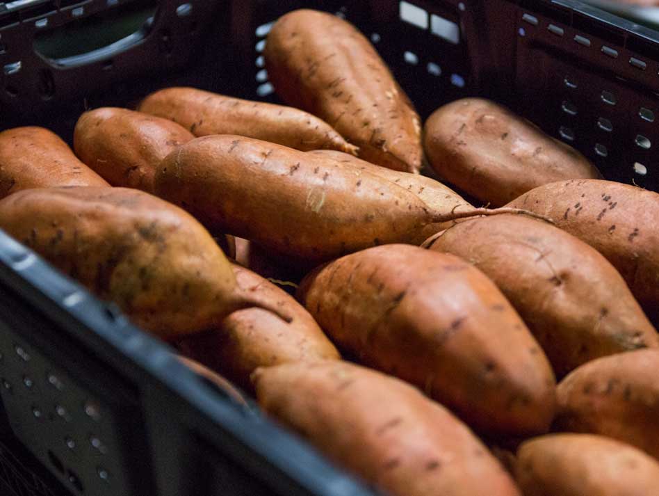 sweet-potatoes.jpg