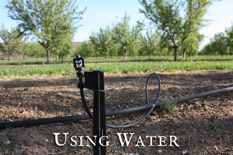 Using-Water750500.png