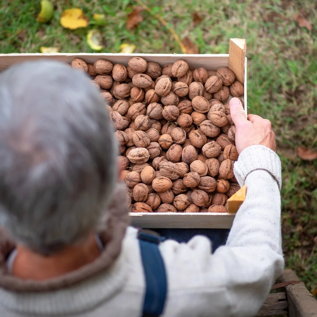 California agriculture has more than 80,000 farms and ranches and produces 400 different types of commodities annually. The Golden State alone accounts for 11.3% of the nation's agricultural production.