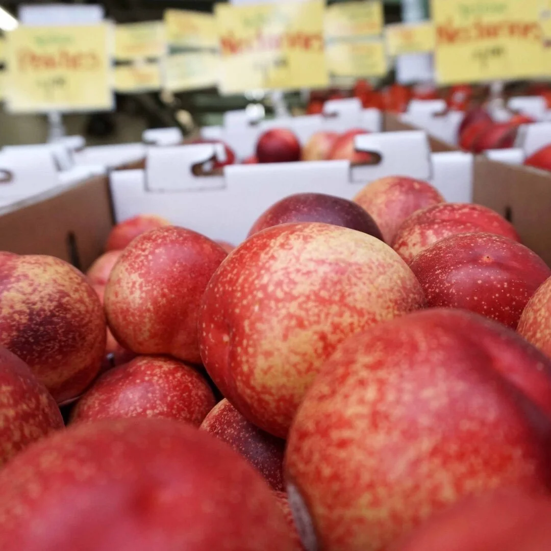 May is the start of #NectarineSeason! Nectarines are high in Vitamins A and C and are a great source of fiber.

#CFWC #CaliforniaAgriculture #InSeason #CAwater #Farming #foodgrowswherewaterflows #whatsfordinner #eatcalifornia #californiafarmsandranch