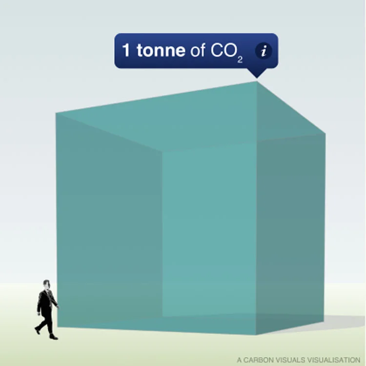 Carbon Visuals' Carbon Visualisation Widget
