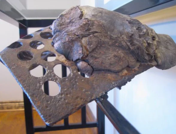  A gnarled burl of wood had grown around the steel. This is protected with an acrylic sealer. 