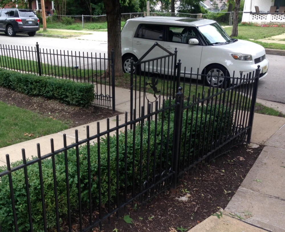 fenceIMG_3860.jpg