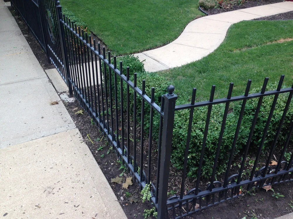 fenceIMG_3854.jpg