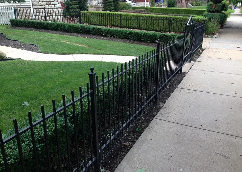 fenceIMG_3856.jpg