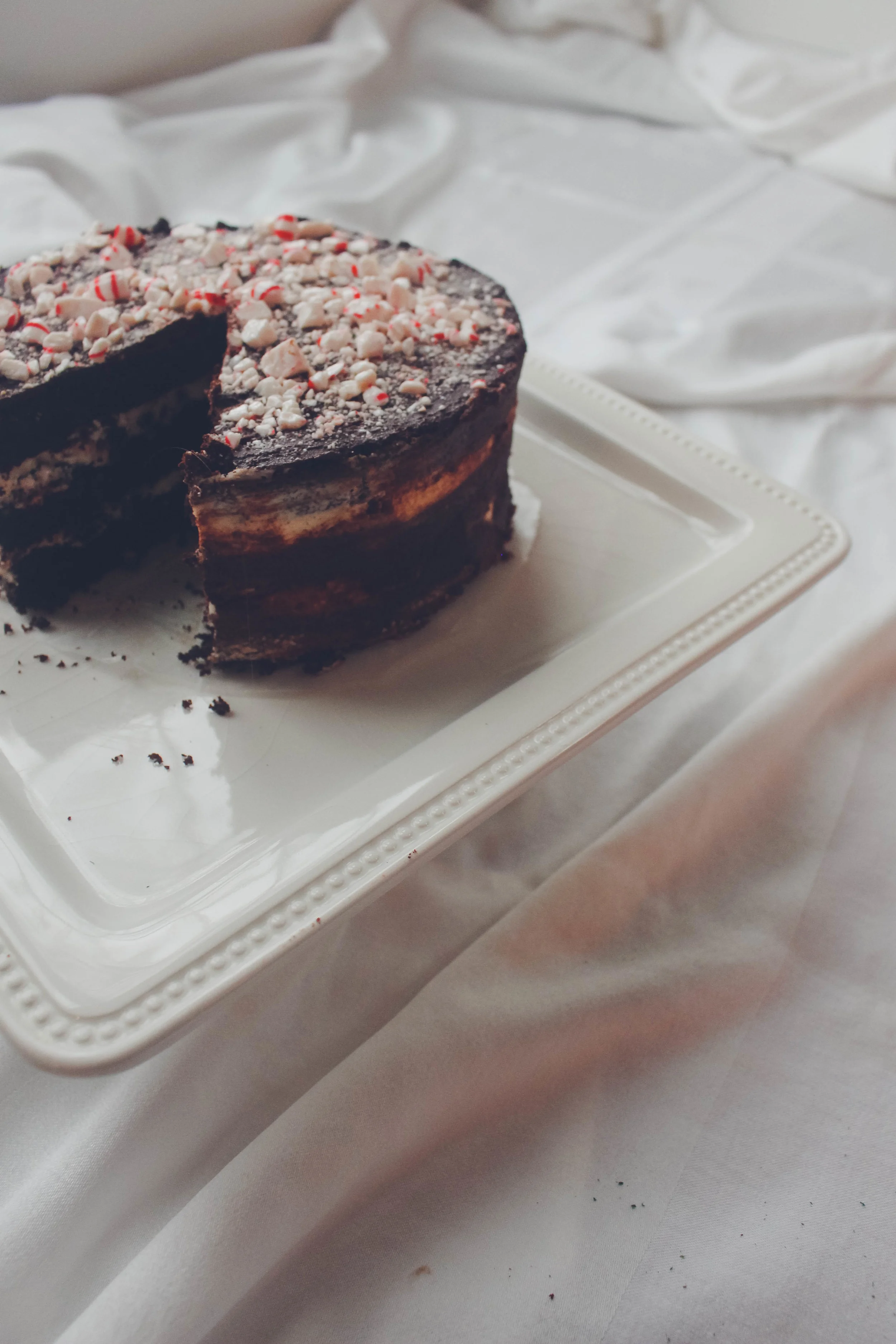 peppermint mocha chocolate cake-33.jpg