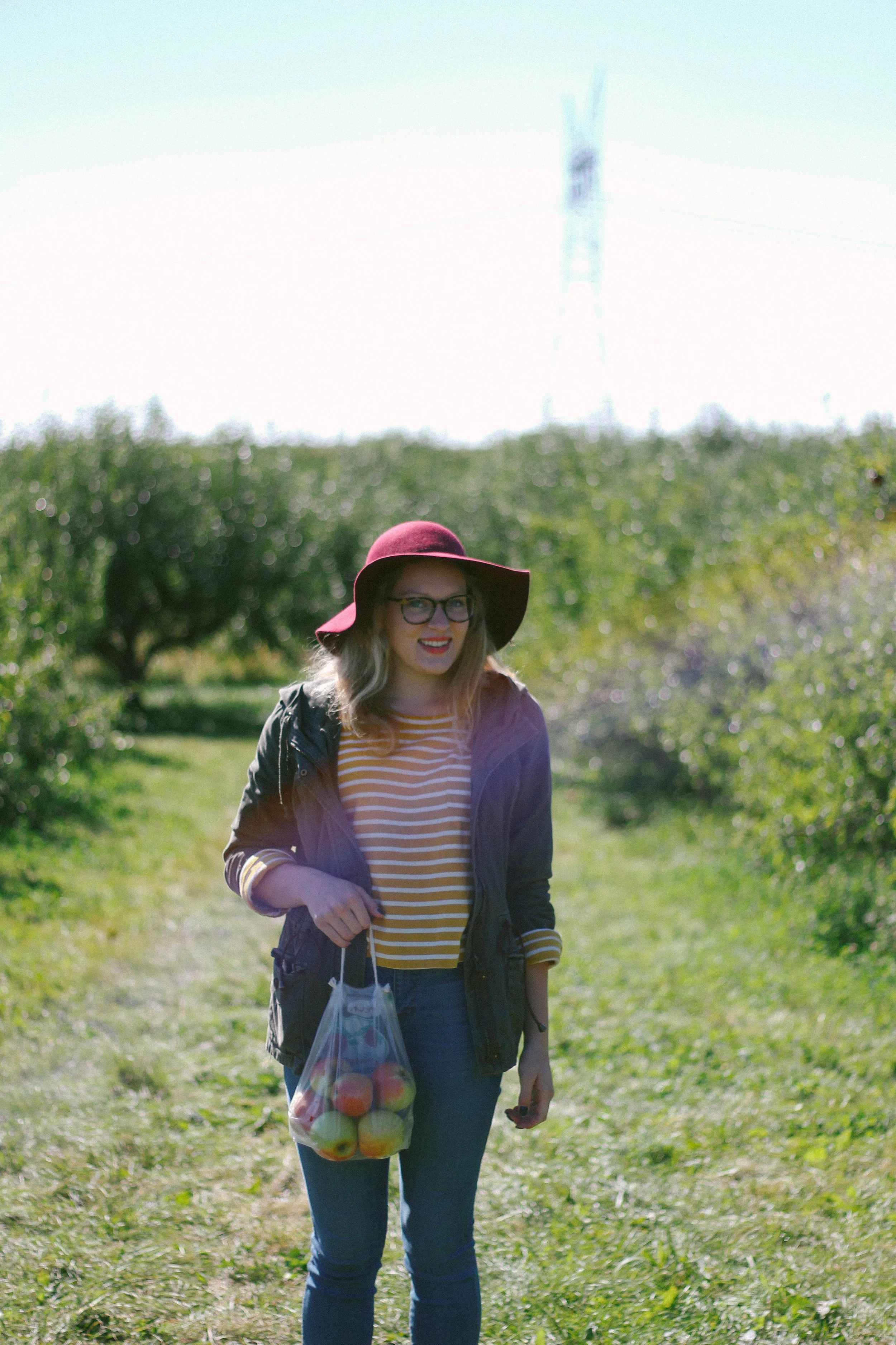 apple orchard 2016-22.jpg