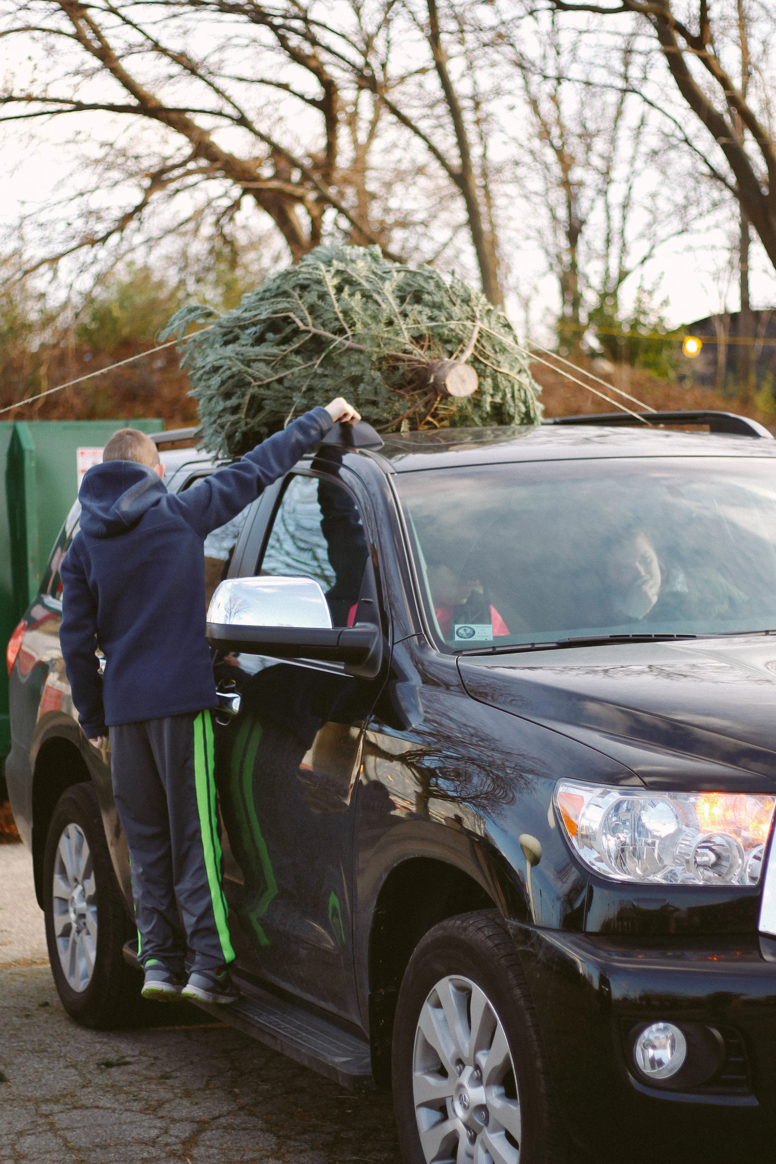 trimming the tree-6.jpg