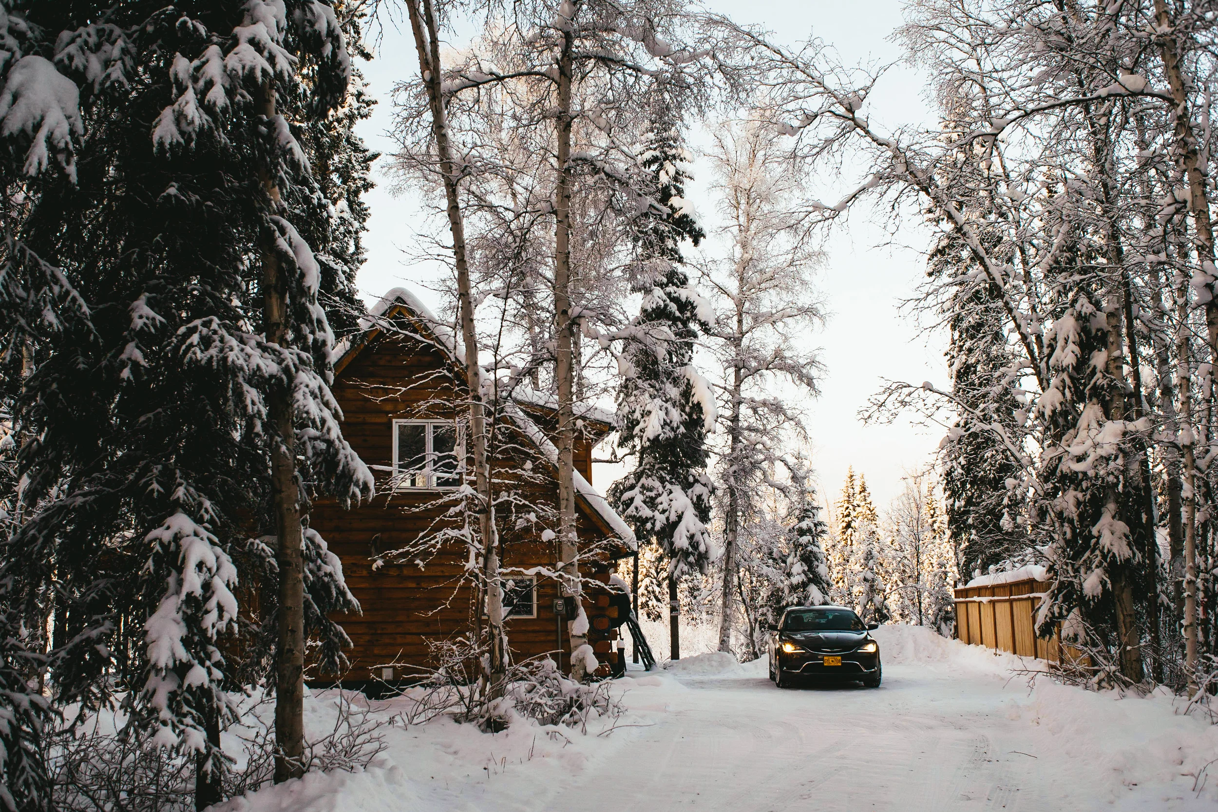 Driveway to Moose Walk Cabin.