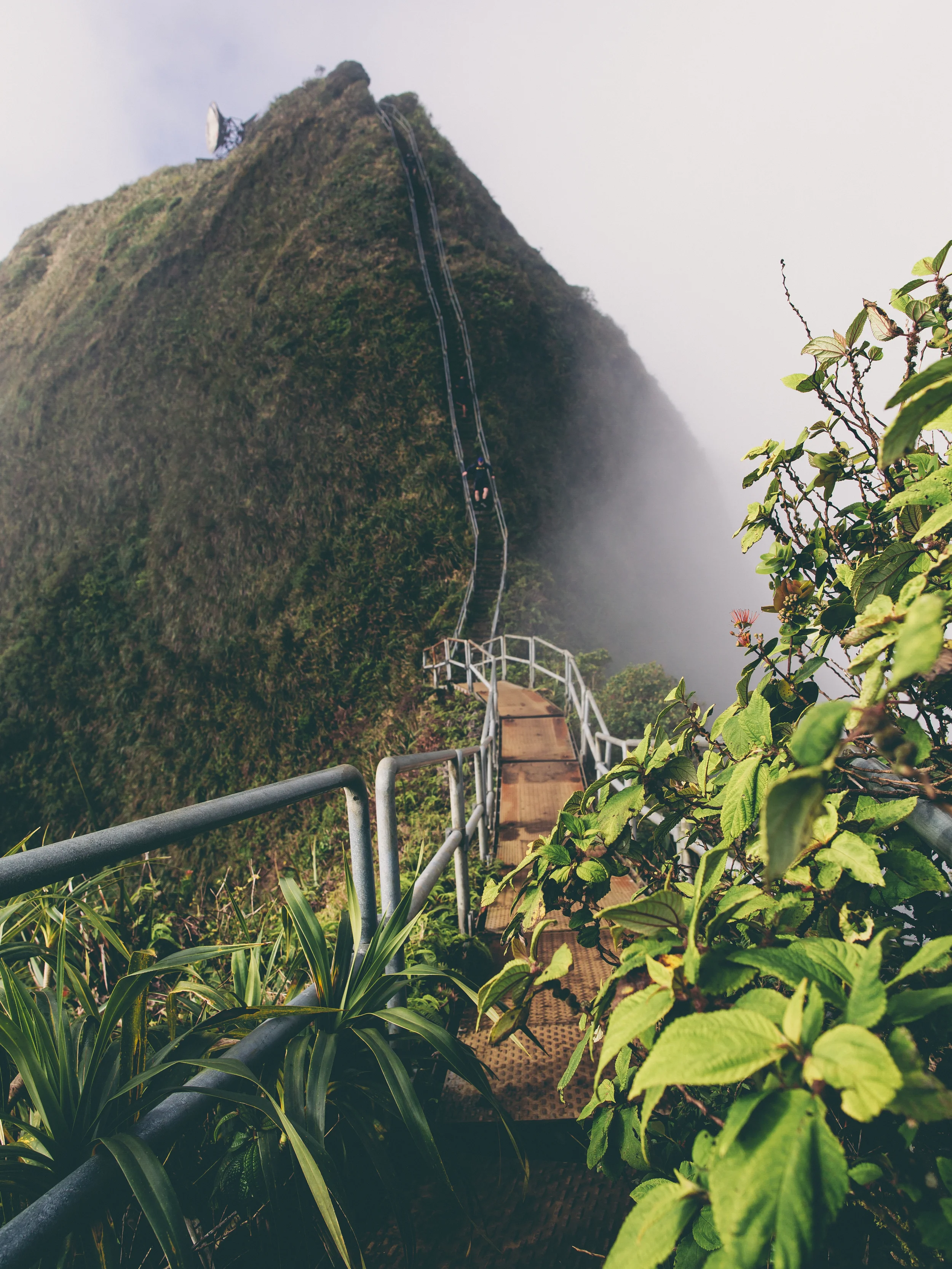 Four images up was shot from up top this flight of stairs. This truly shows how steep they are.