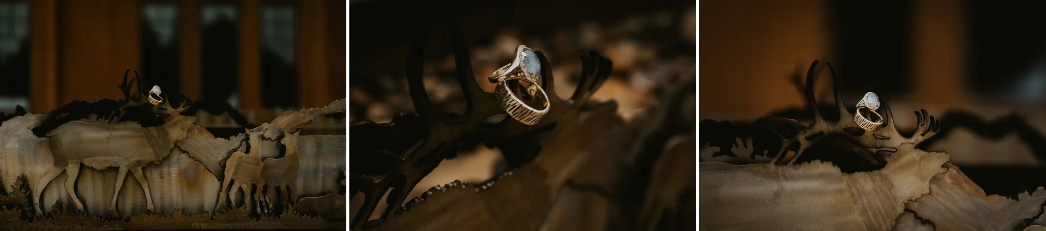 Ring shots seattle washington photography