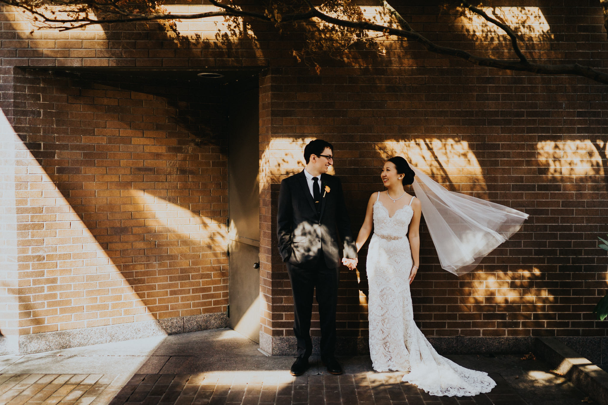 Bride Groom Portrait Light Tree Shadow