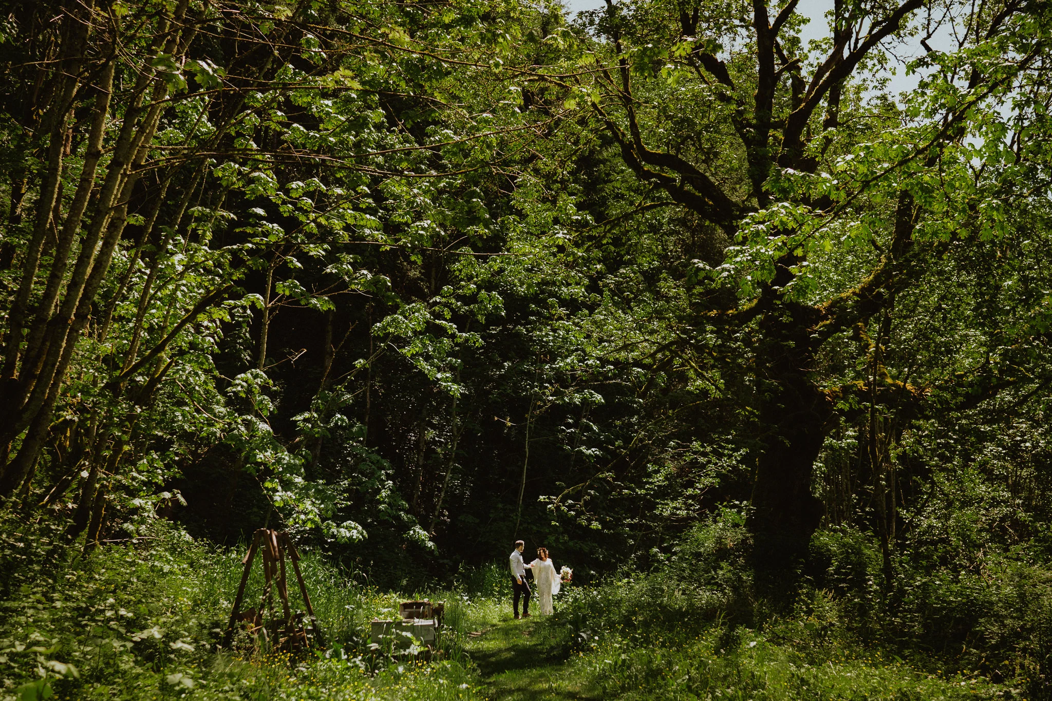 Portland-Oregon-Wedding-Elopement_photographer-Alfred-Tang-06067.jpg