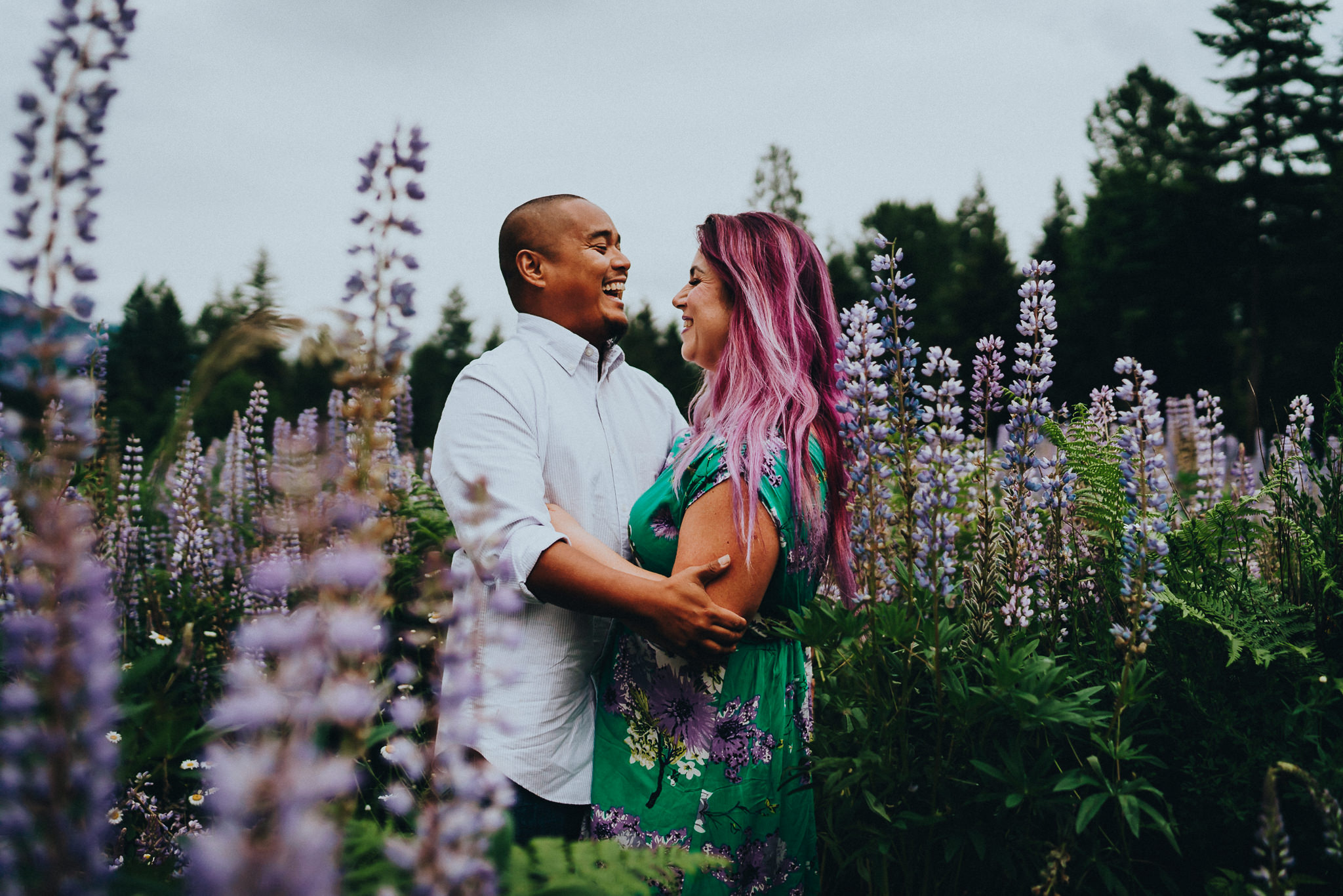 Lupine-connection-photographer