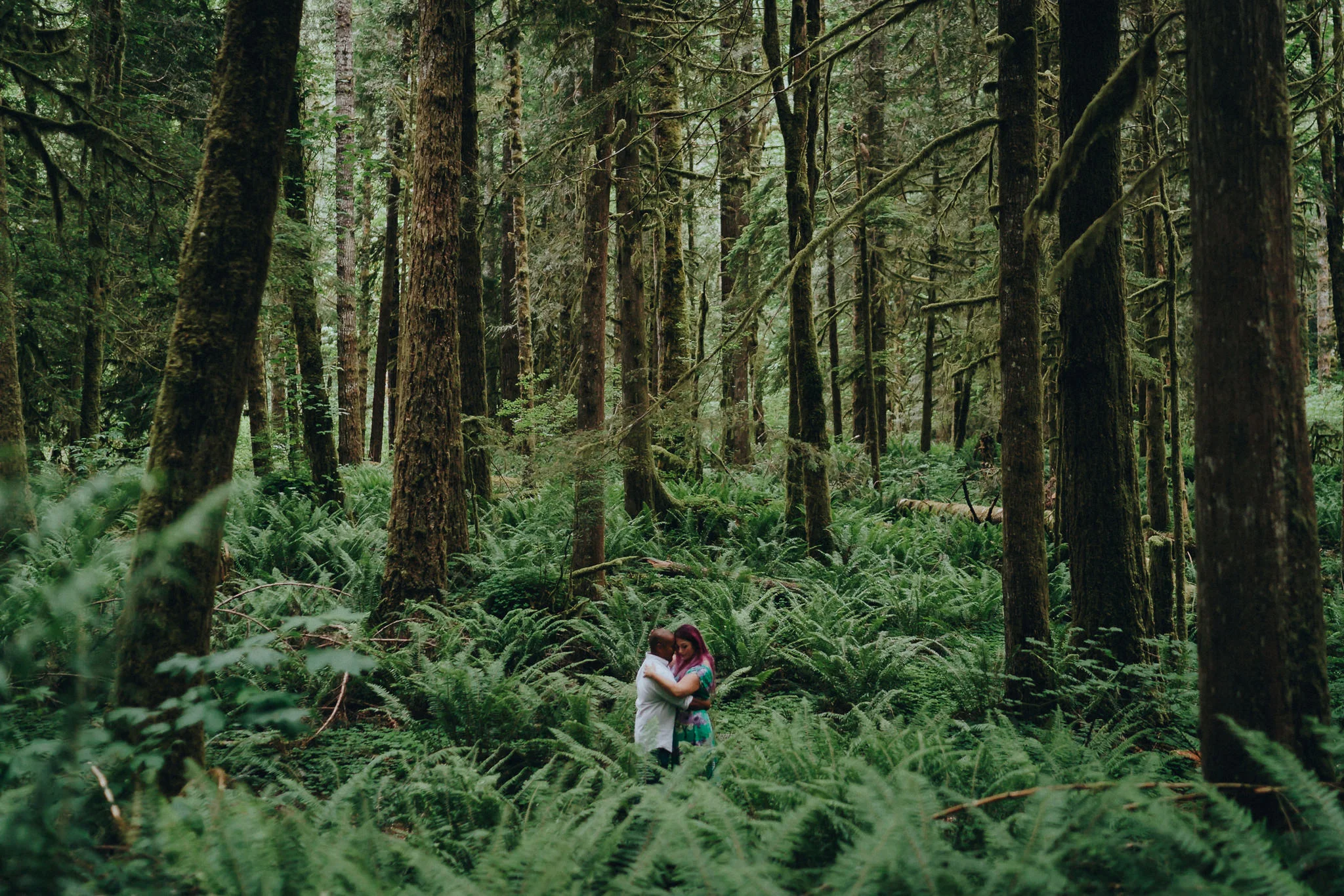 Fern-Elopement-Alfred-Tang-Photographer