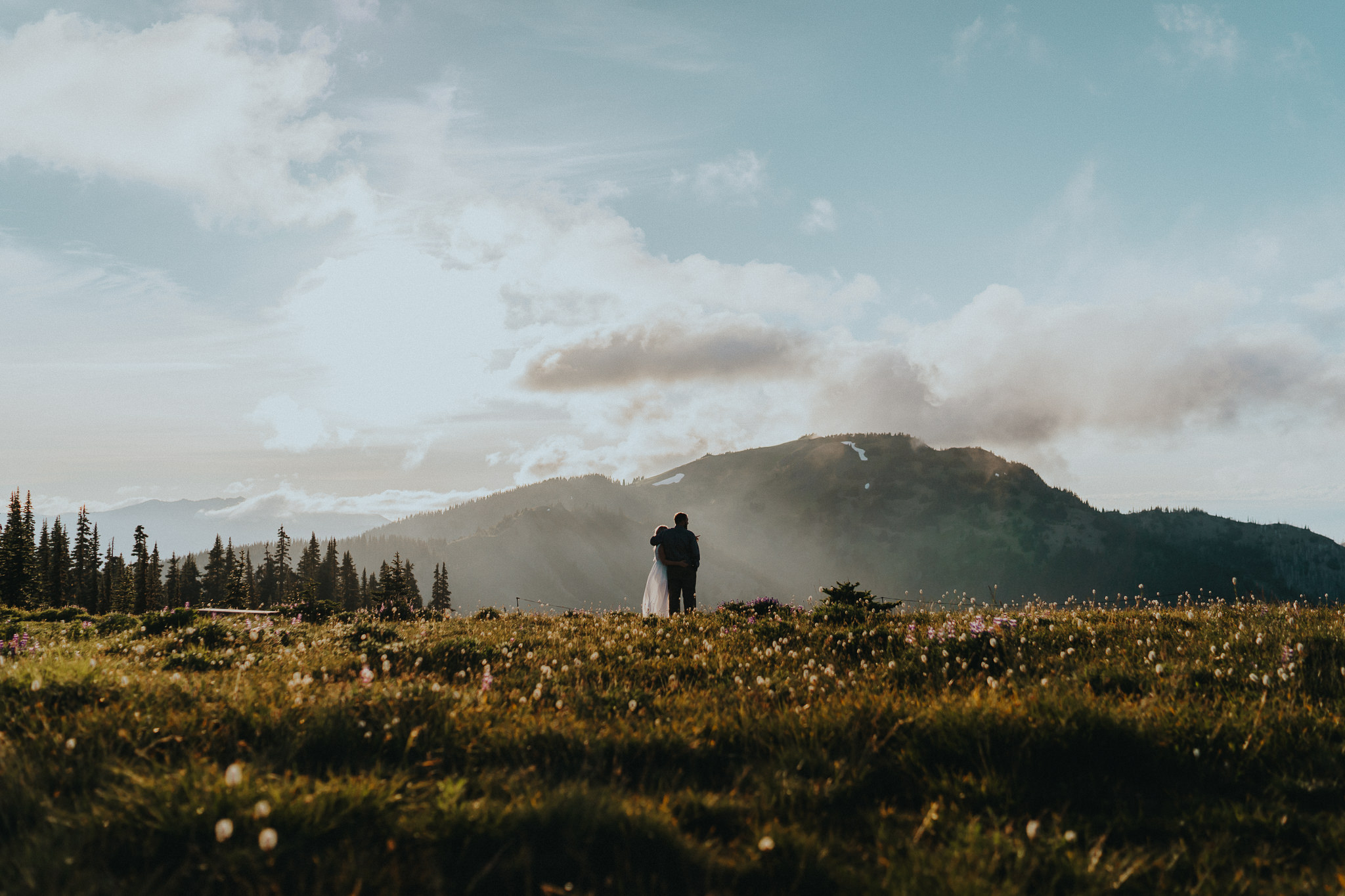 Olympic-National-Park-Hurricane-Ridge-Engagement