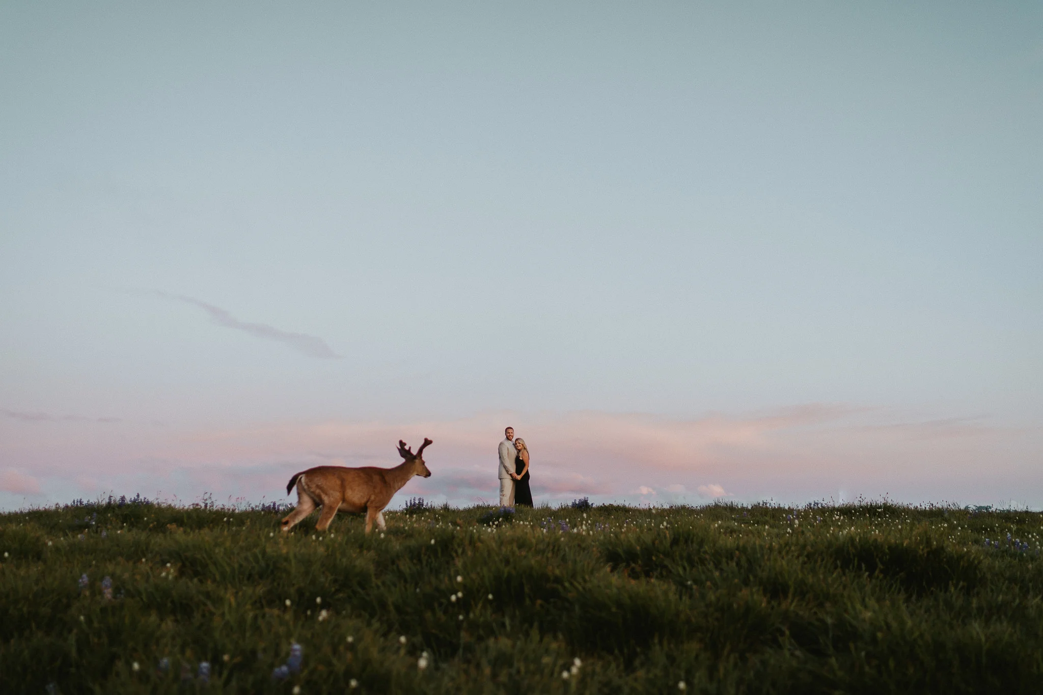 Deer-photobomb-Olympic-National-Park