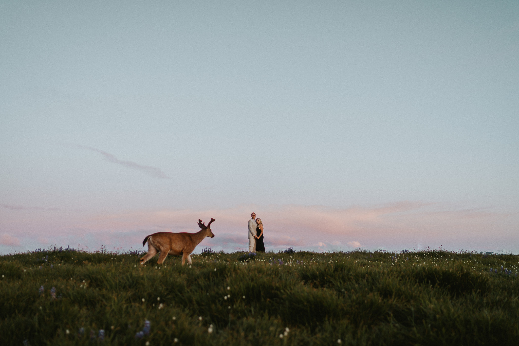 Deer-photobomb-Olympic-National-Park