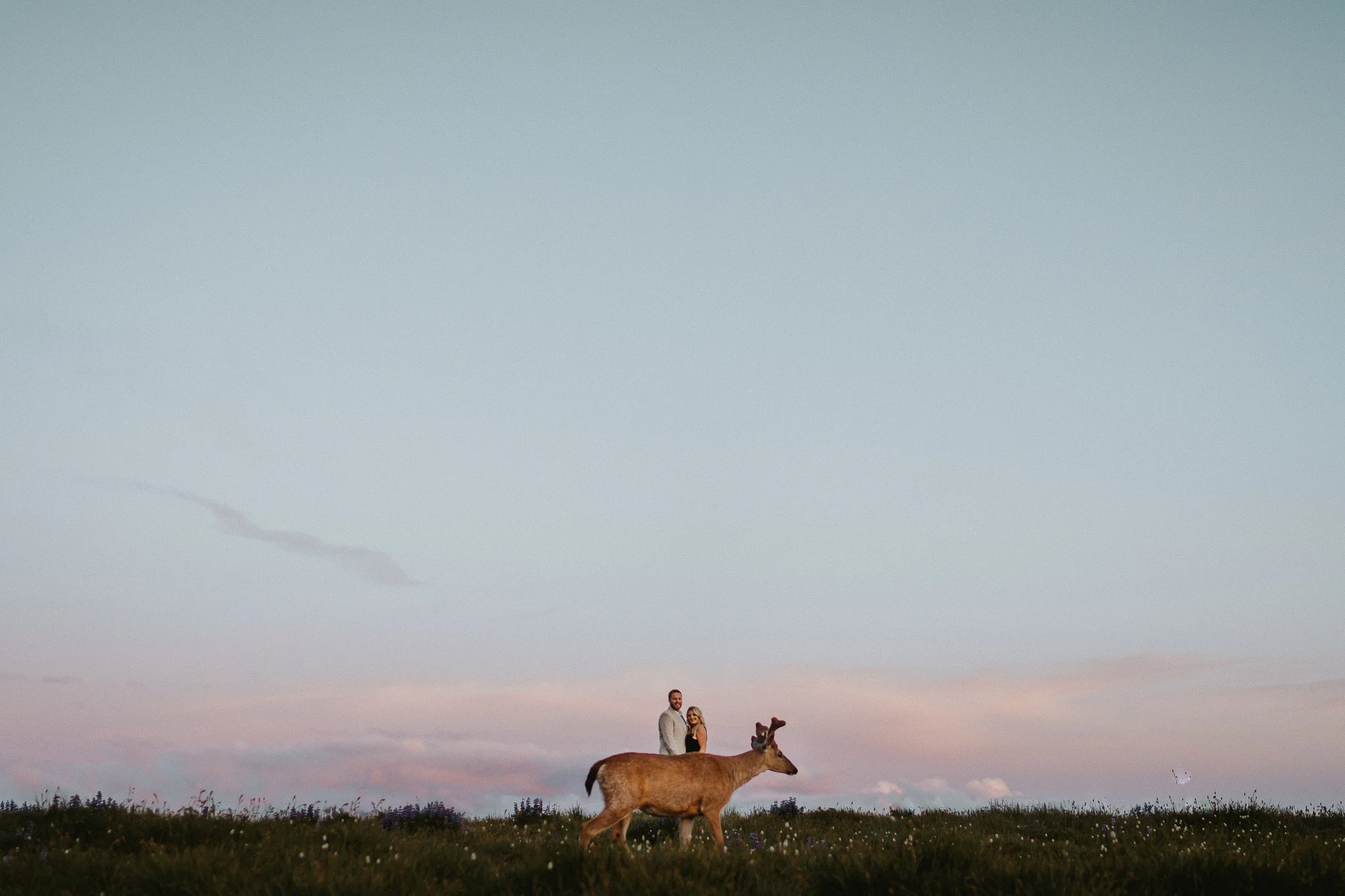 Deer-Hurricane-Ridge-Symmetry
