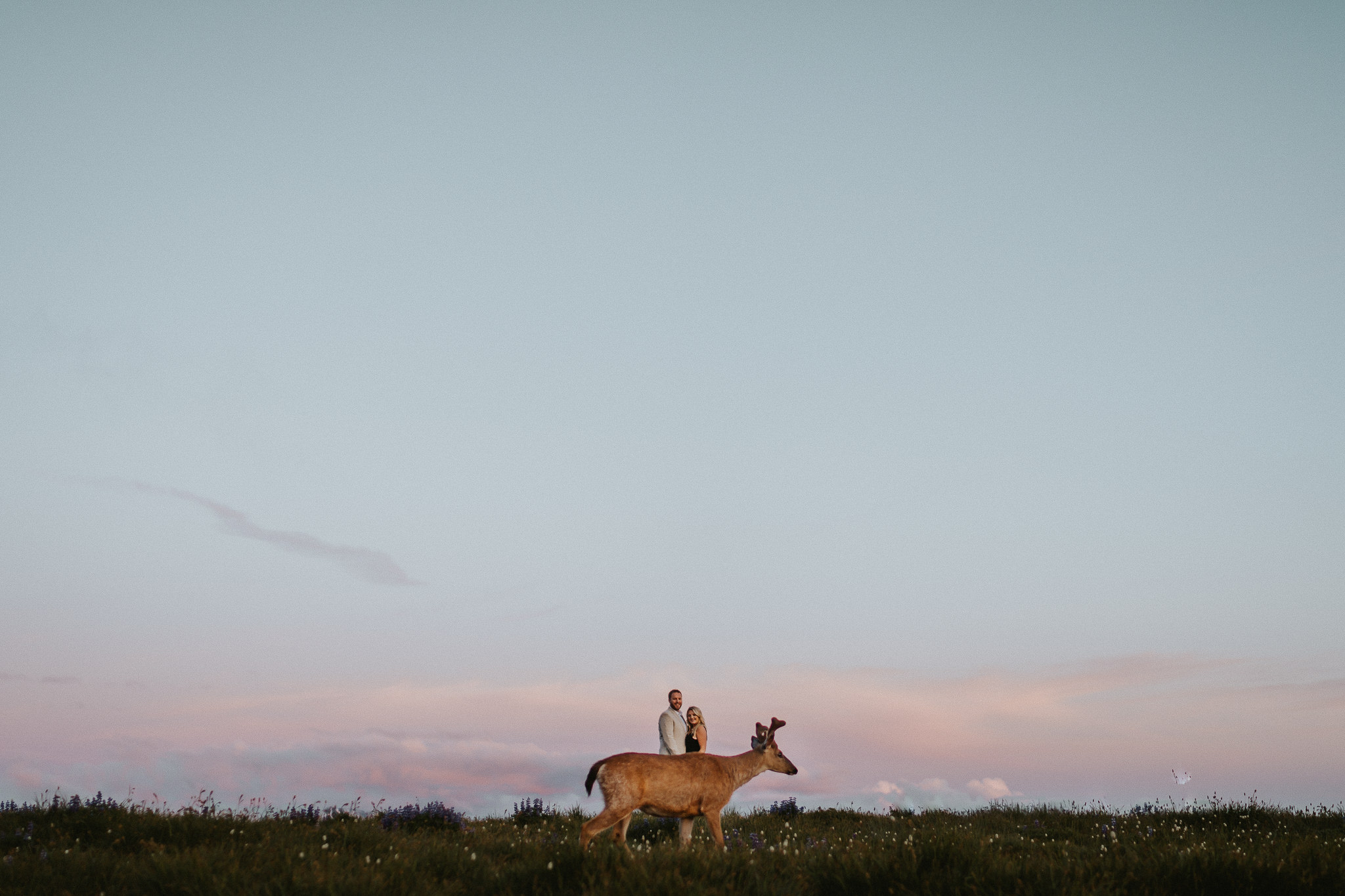 Deer-Hurricane-Ridge-Symmetry