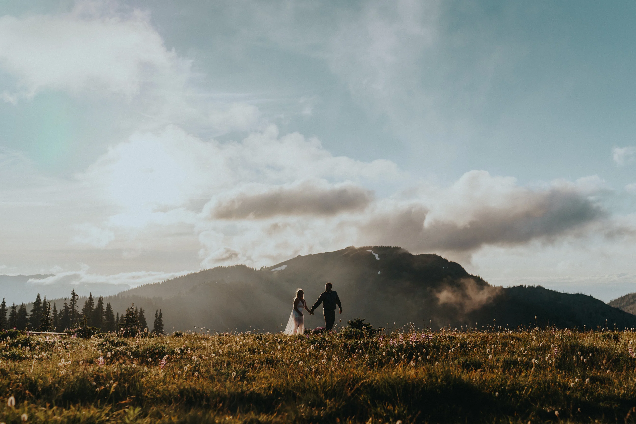 Olympic-National-Park-Hurricane-Ridge-Engagement