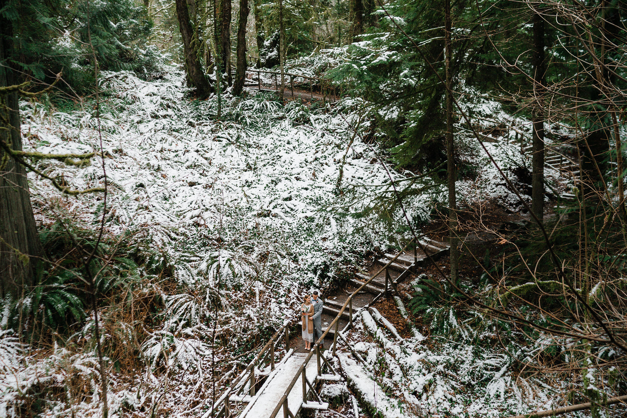 Priest Point Park Washington Winter Snow