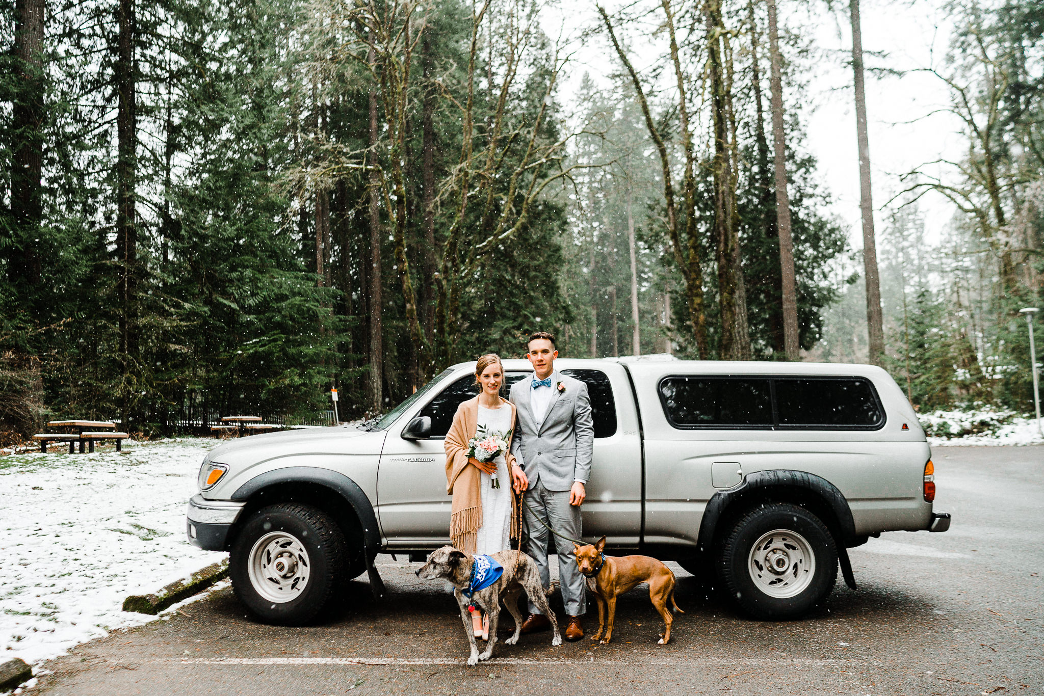 Toyota Tacoma Wedding dogs pitbull