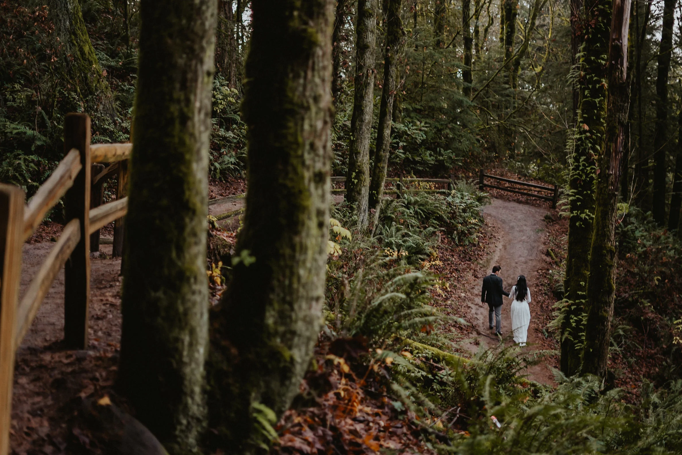 Portland Forest Park best engagement photographer