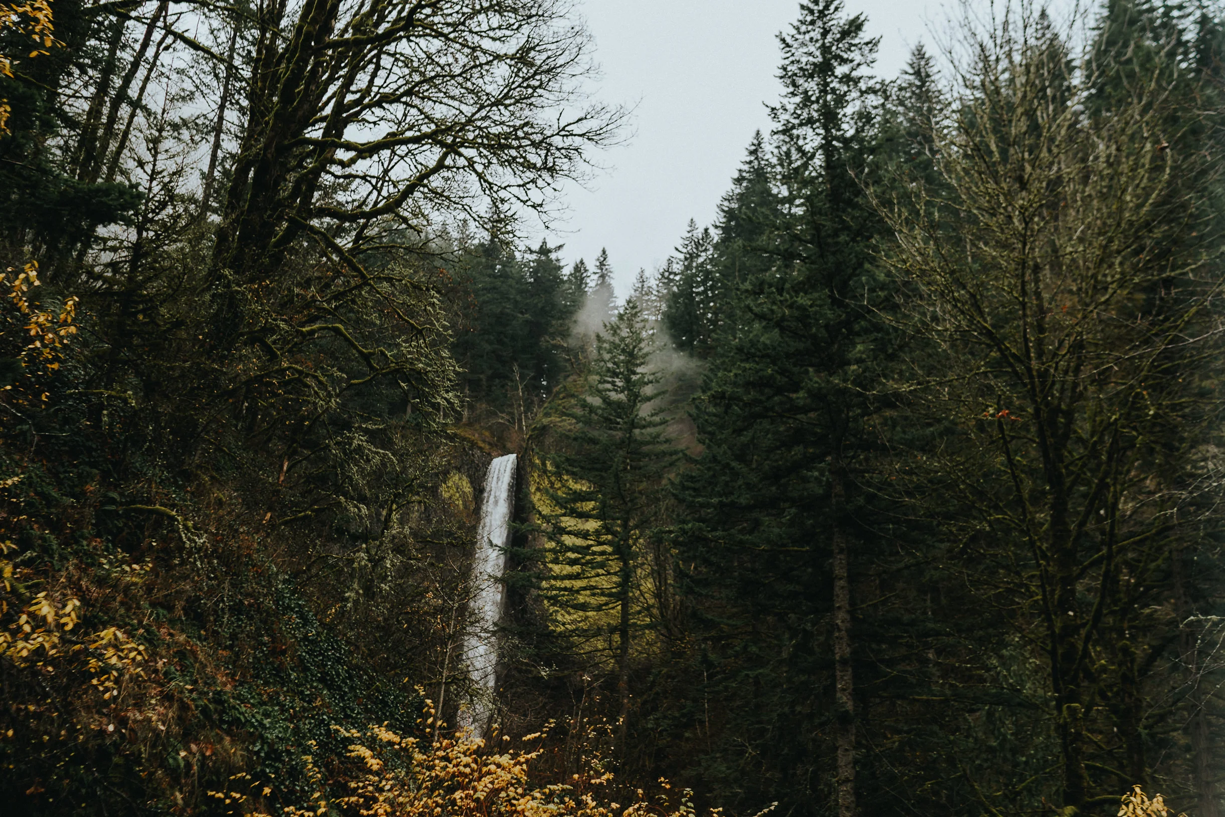 Fall Autumn Season Latrouell Falls