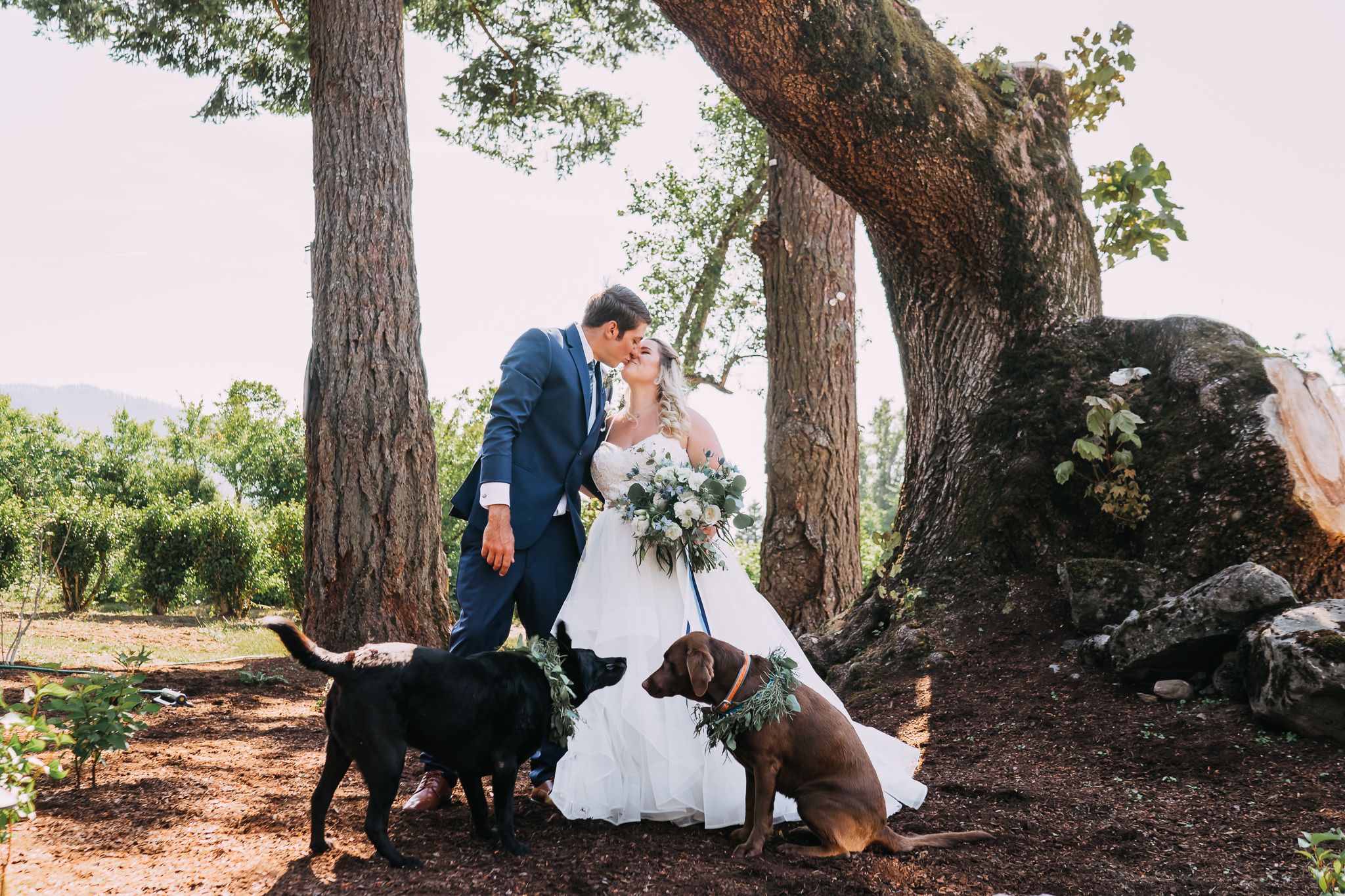 bride groom wedding dog portraits Columbia River Gorge